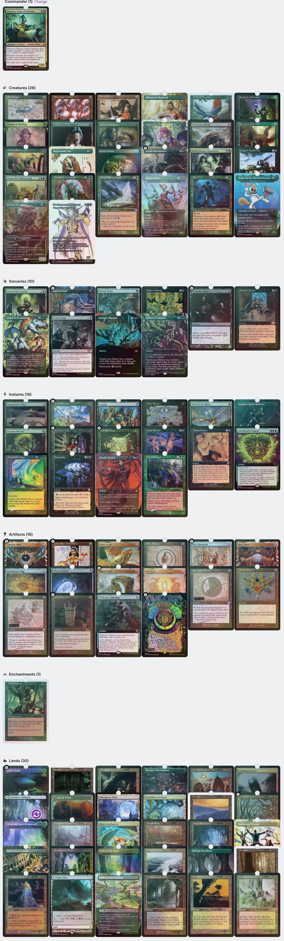 MTG 統率者 デッキ ハパチラEDH 大会】《激情の後見》争奪統率者レポ【cEDH】【ハパチラ】(2025/12/27