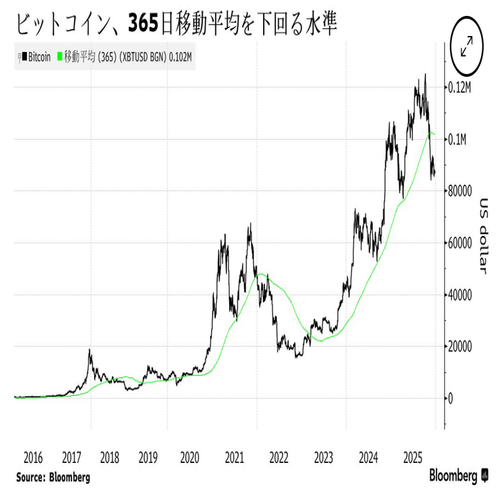 2025年12月25〜28日｜うさぎ