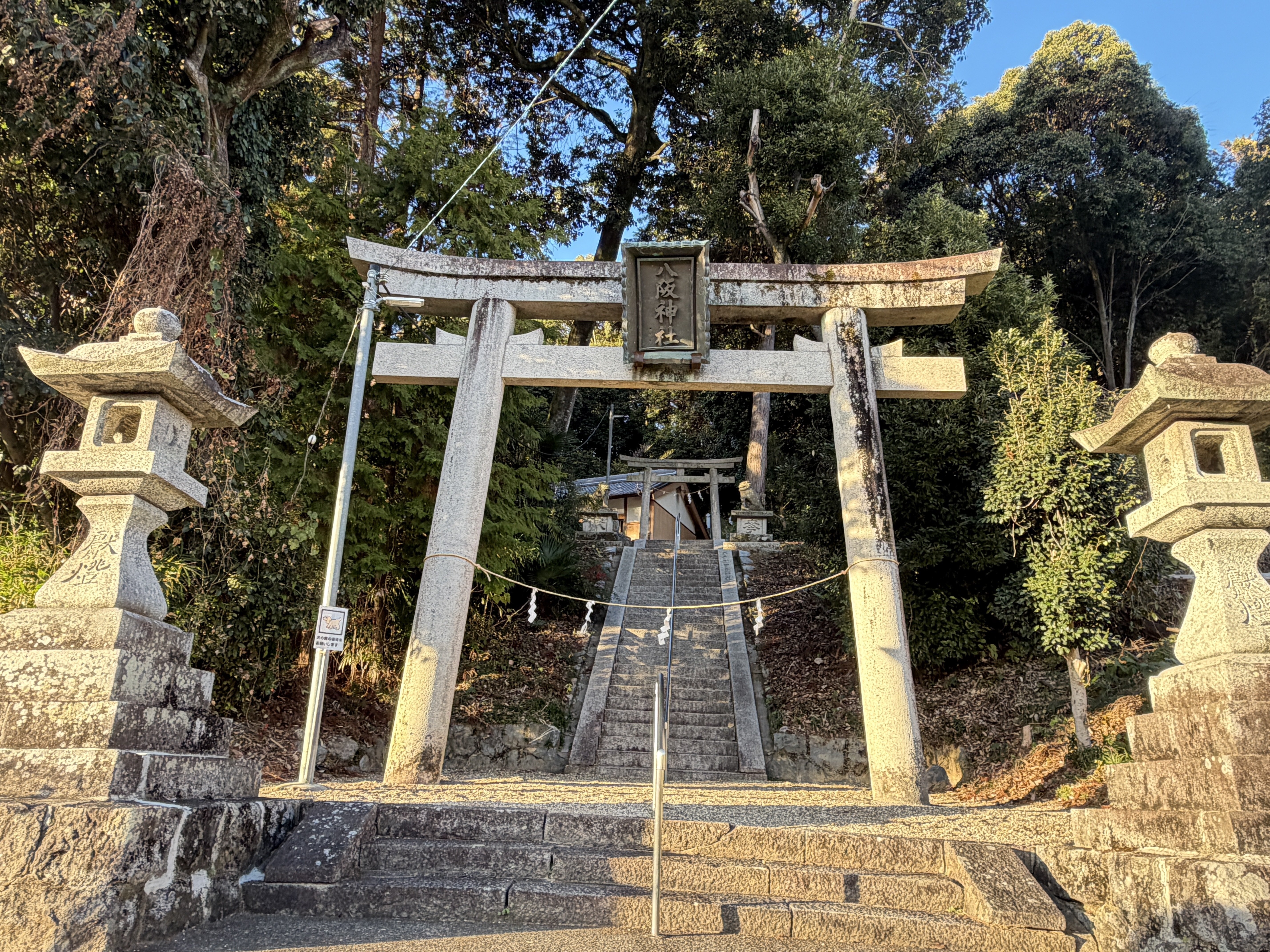 墳活］メスリ山古墳～リベンジ編～｜高坂正澄