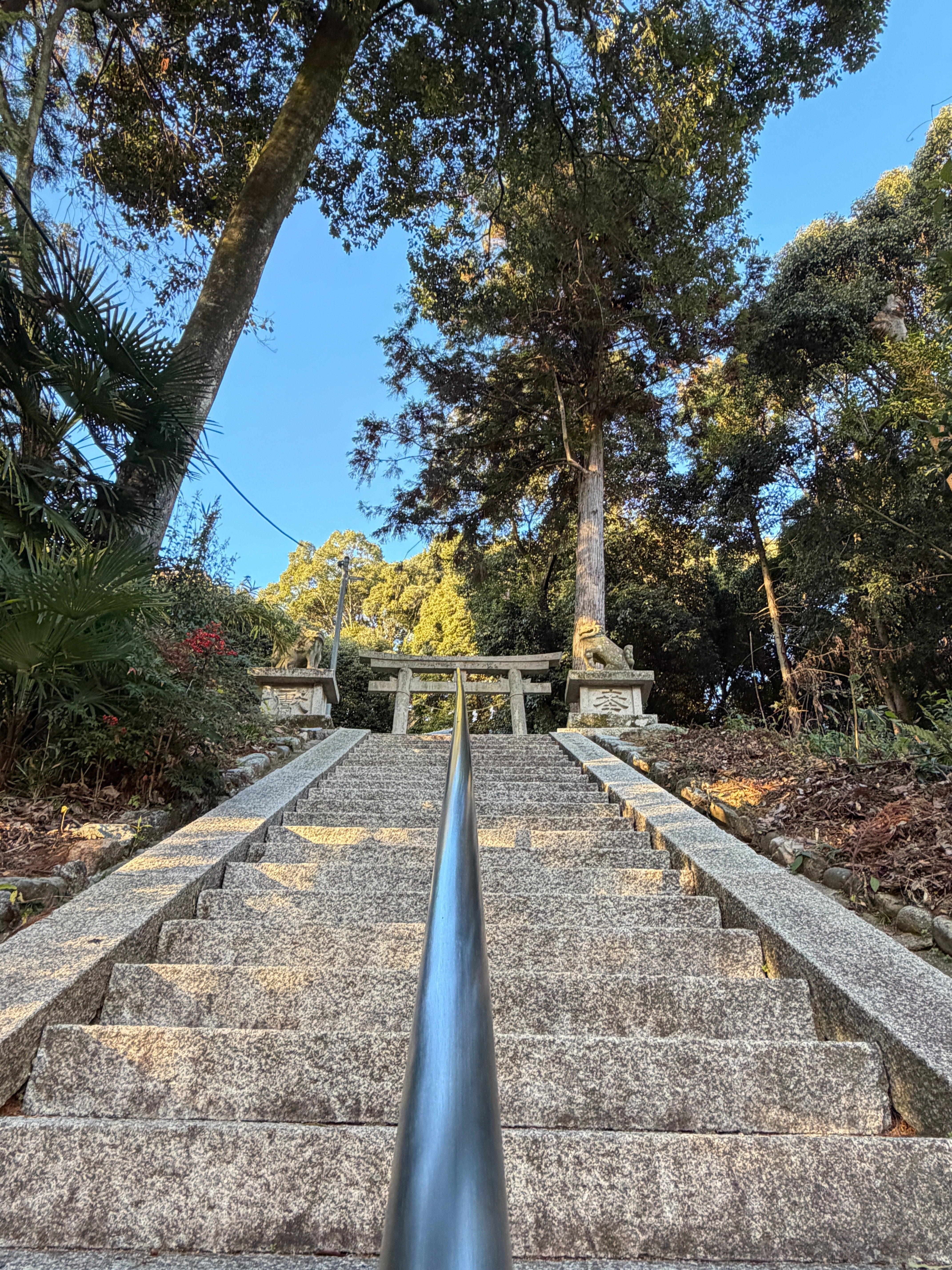 墳活］メスリ山古墳～リベンジ編～｜高坂正澄