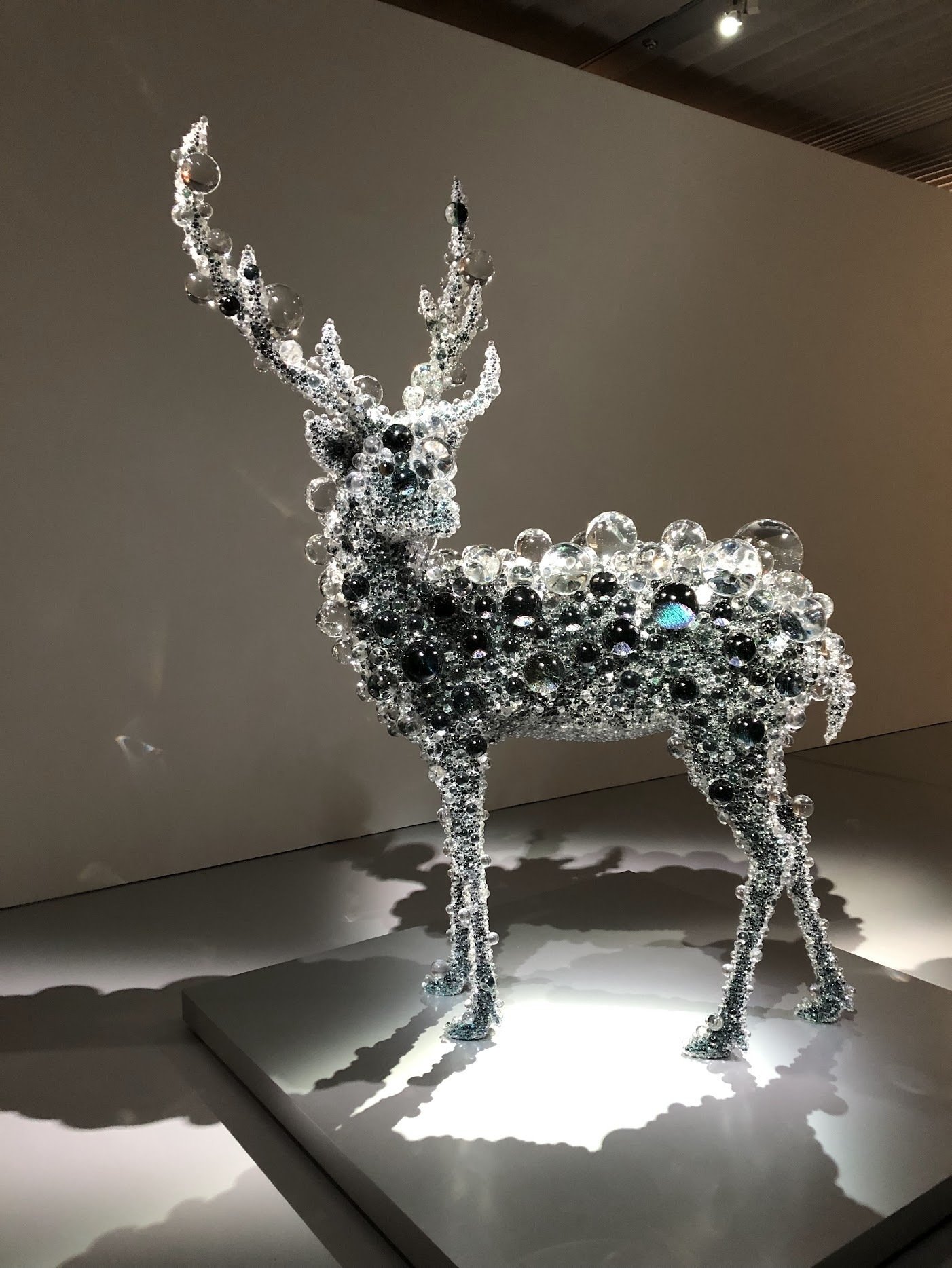 わきあがる鼓動 ポーラ美術館｜ういうい