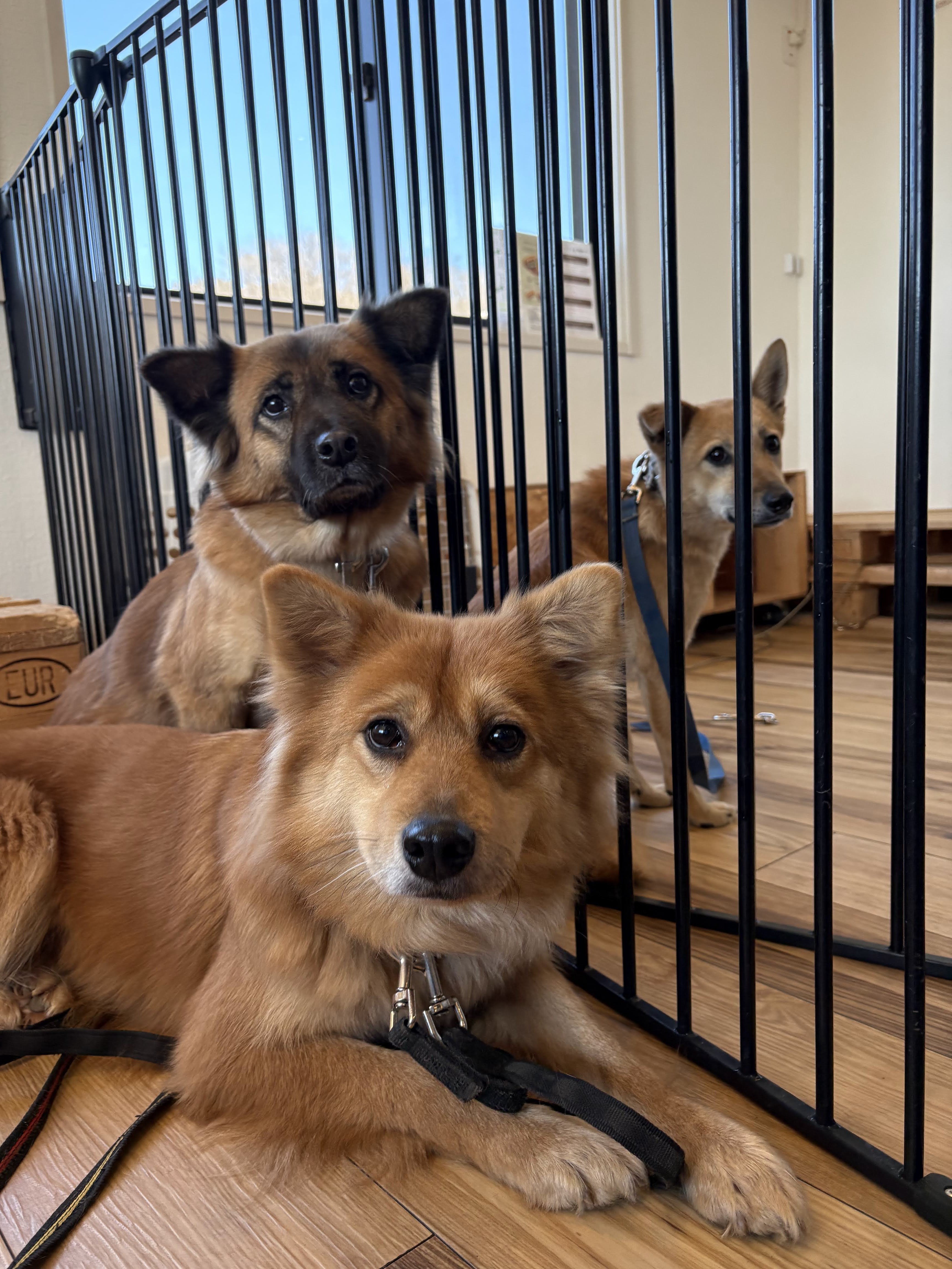 キドックスの活動を全国へ広げる“夢”を“現実”へ！｜認定NPO法人