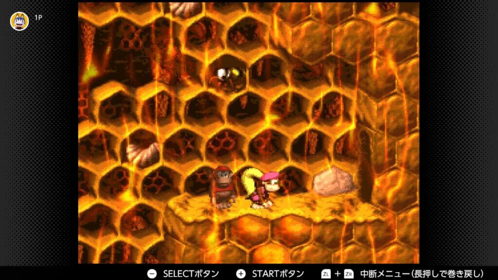 スーパードンキーコング2 ボーナス＆DKコイン攻略 ワールド4 はちみつ