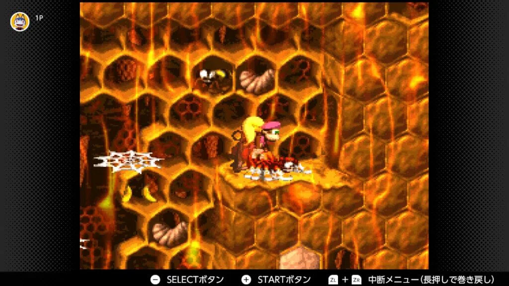 スーパードンキーコング2 ボーナス＆DKコイン攻略 ワールド4 はちみつ