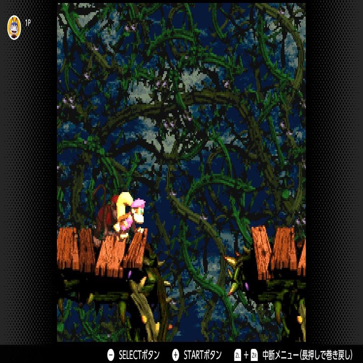 スーパードンキーコング2 ボーナス＆DKコイン攻略 ワールド4 はちみつパーク「クレムランド」｜ひんやりミカン