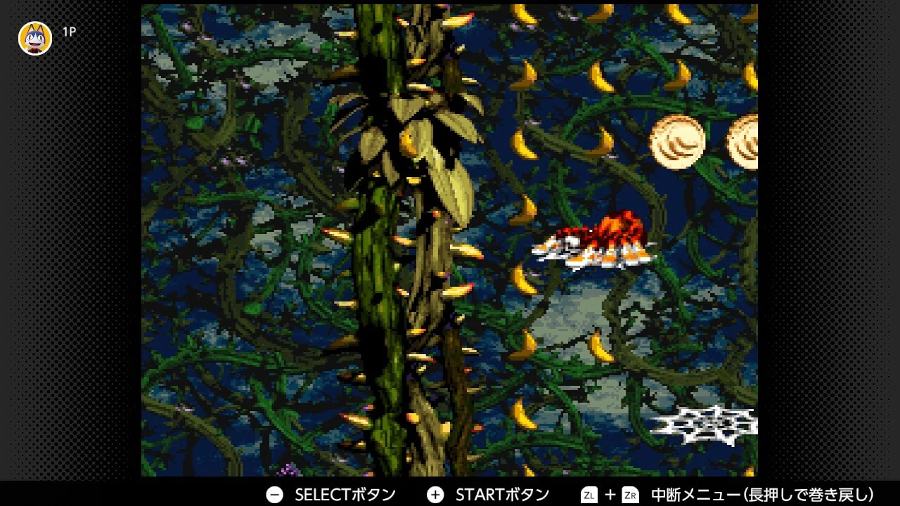 スーパードンキーコング2 ボーナス＆DKコイン攻略 ワールド4 はちみつ