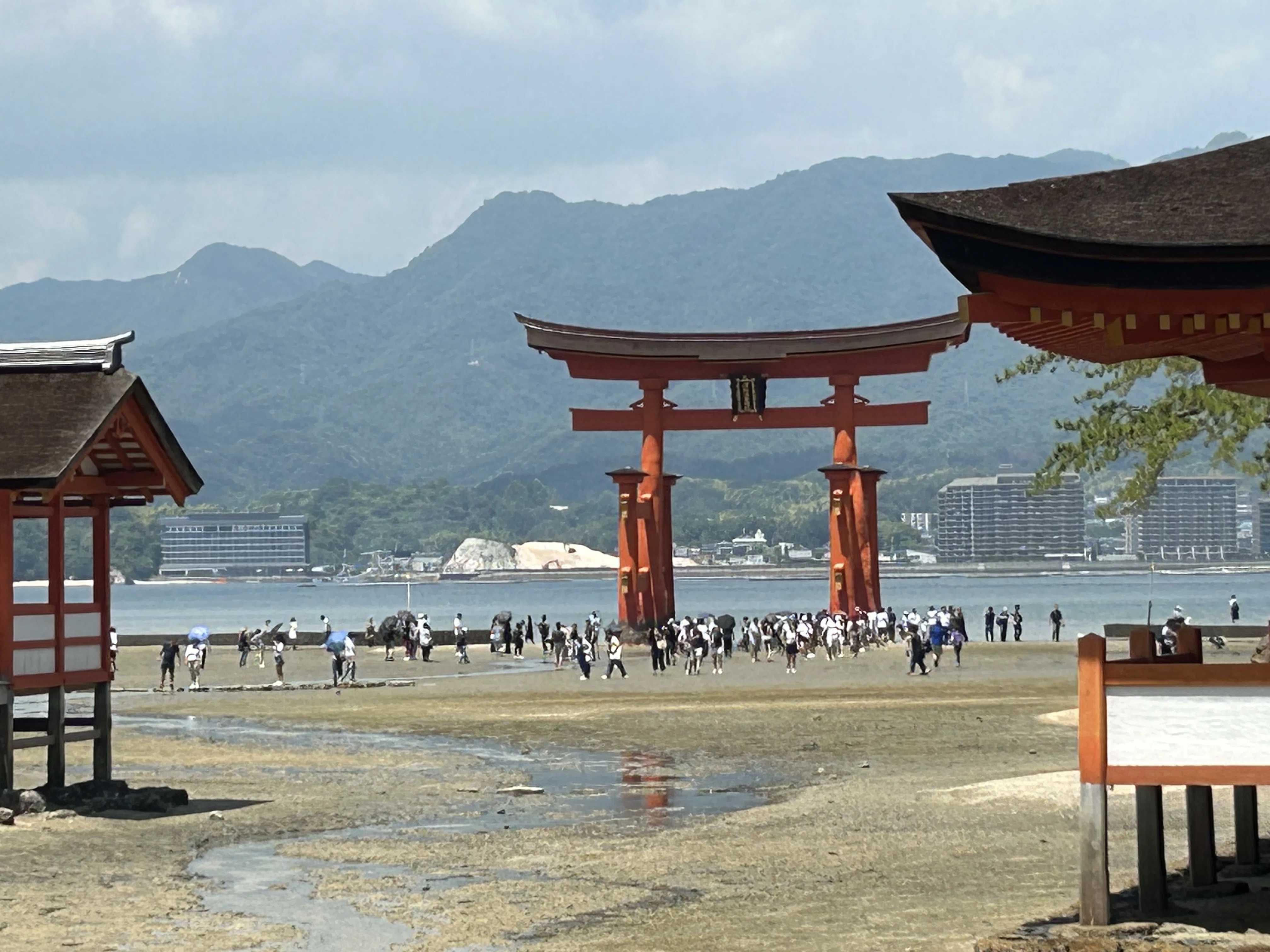 厳島神社（広島県）の大鳥居に触れてみた⁉️ 2025年一人旅ベスト🥈｜sora