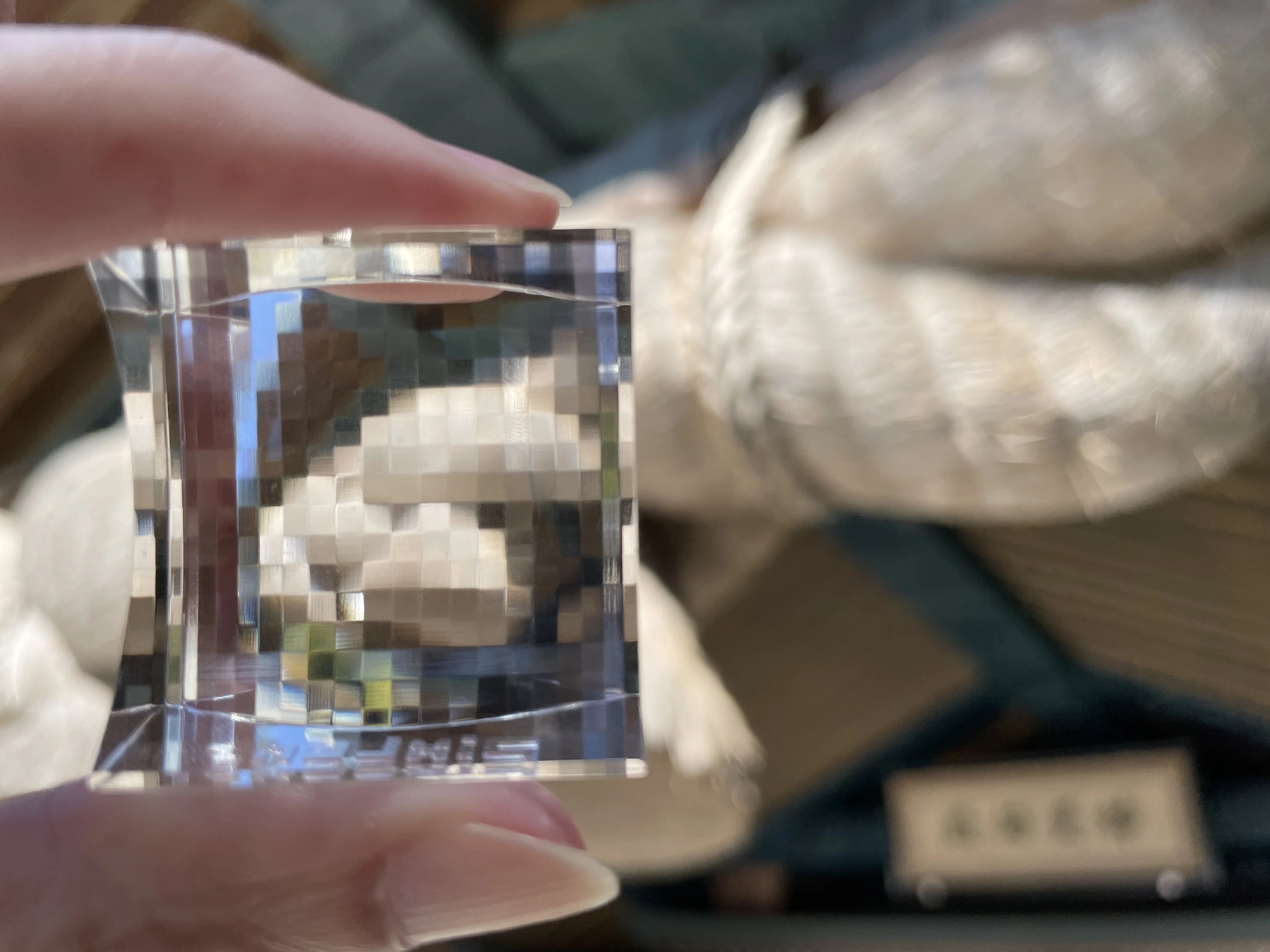 PixLensを覗いて世界をドット絵にしよう。｜春乃はじめ