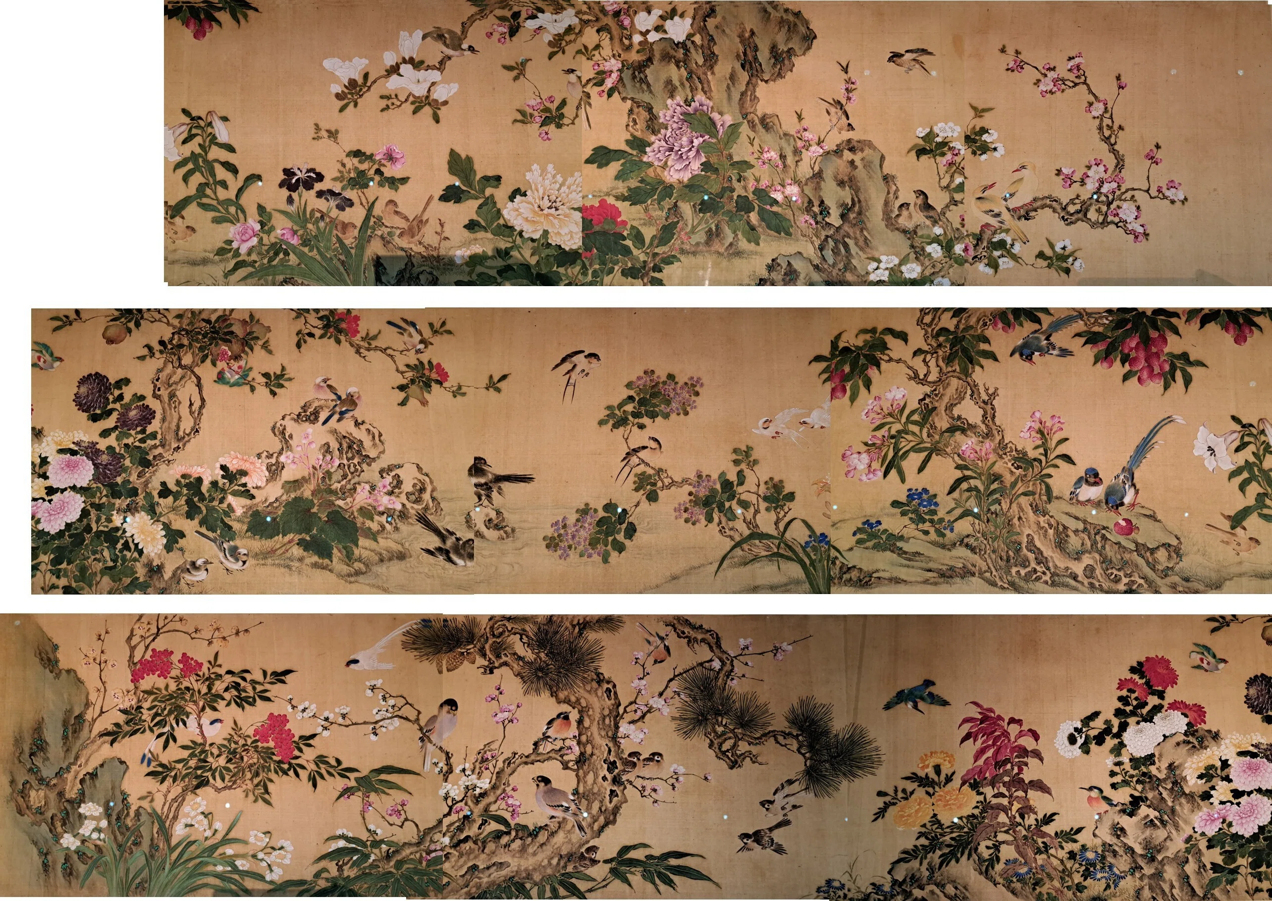 文化遺産オンライン 葛飾北斎 絵はがきセット〈葛飾北斎 花鳥画撰〉(10