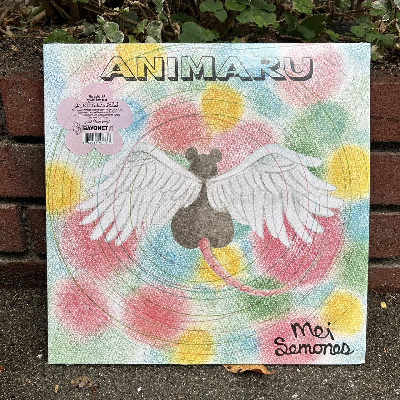 私のベストバイ・レコード2025｜STEREO RECORDS