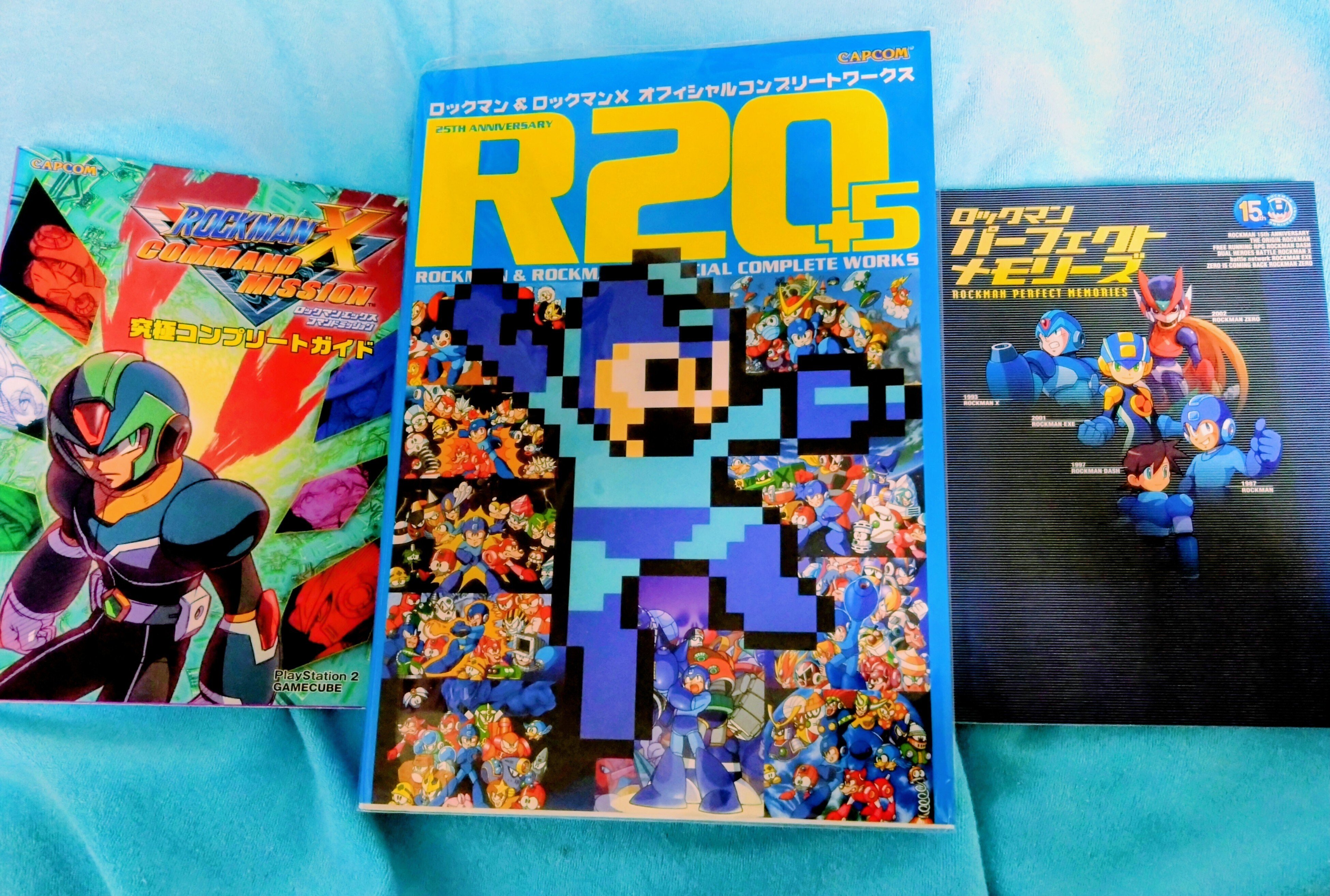 2025年、たくさん集めた資料に集まってもらった〜1年振り返り〜｜えびまよ