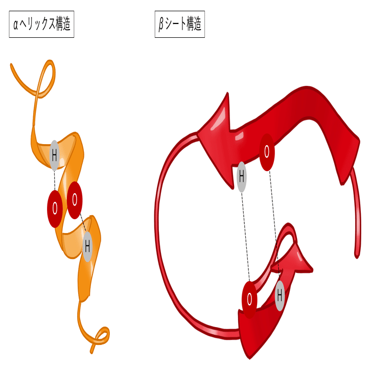 ビールと酵素〜③タンパク質の高次構造｜Shiro Yamada