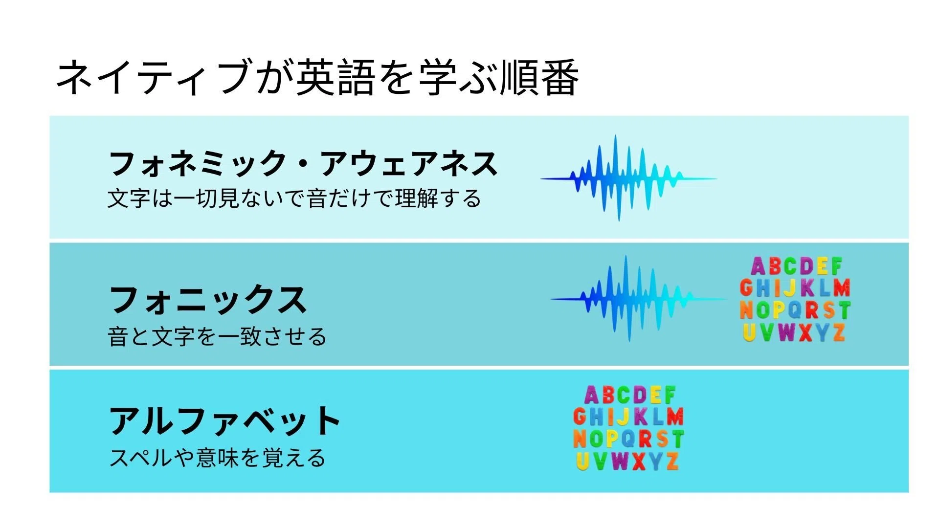 ネイティブが英語発音を学ぶ順番を徹底分析｜ふぉねむず｜「音が見える