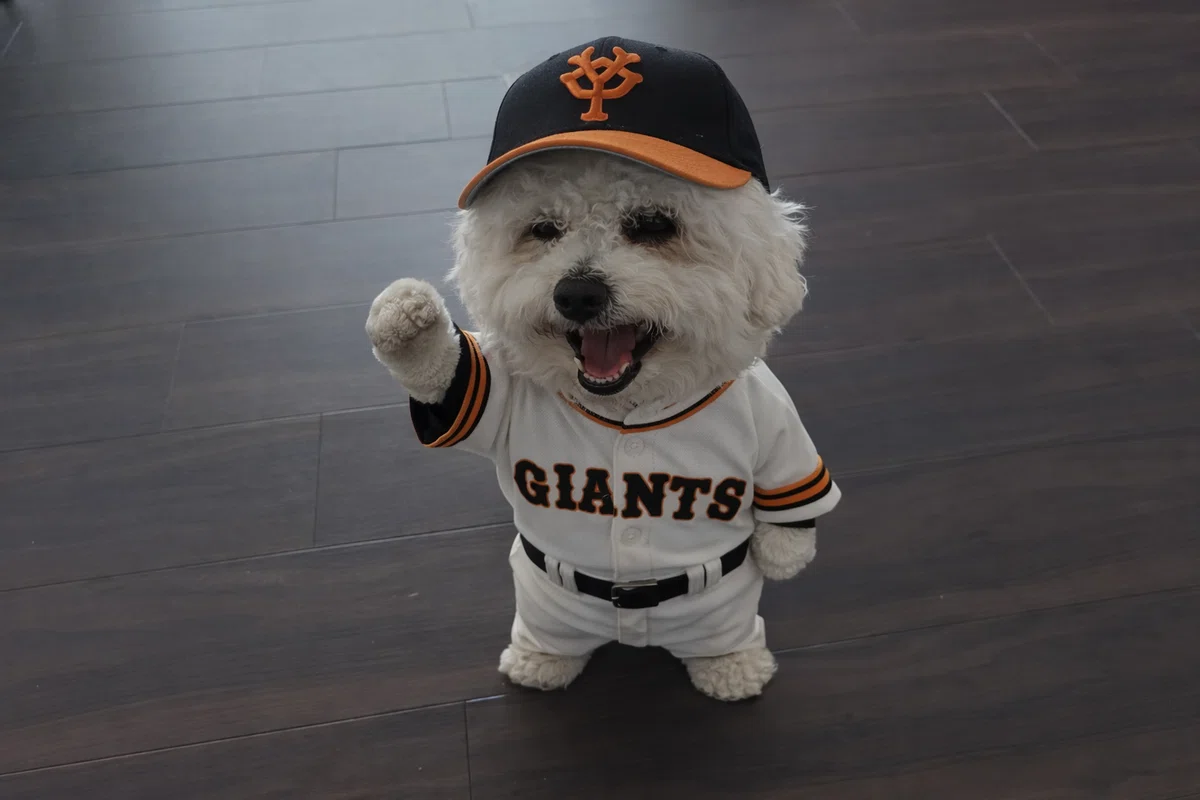 きのこ犬の先へ…|ももあき