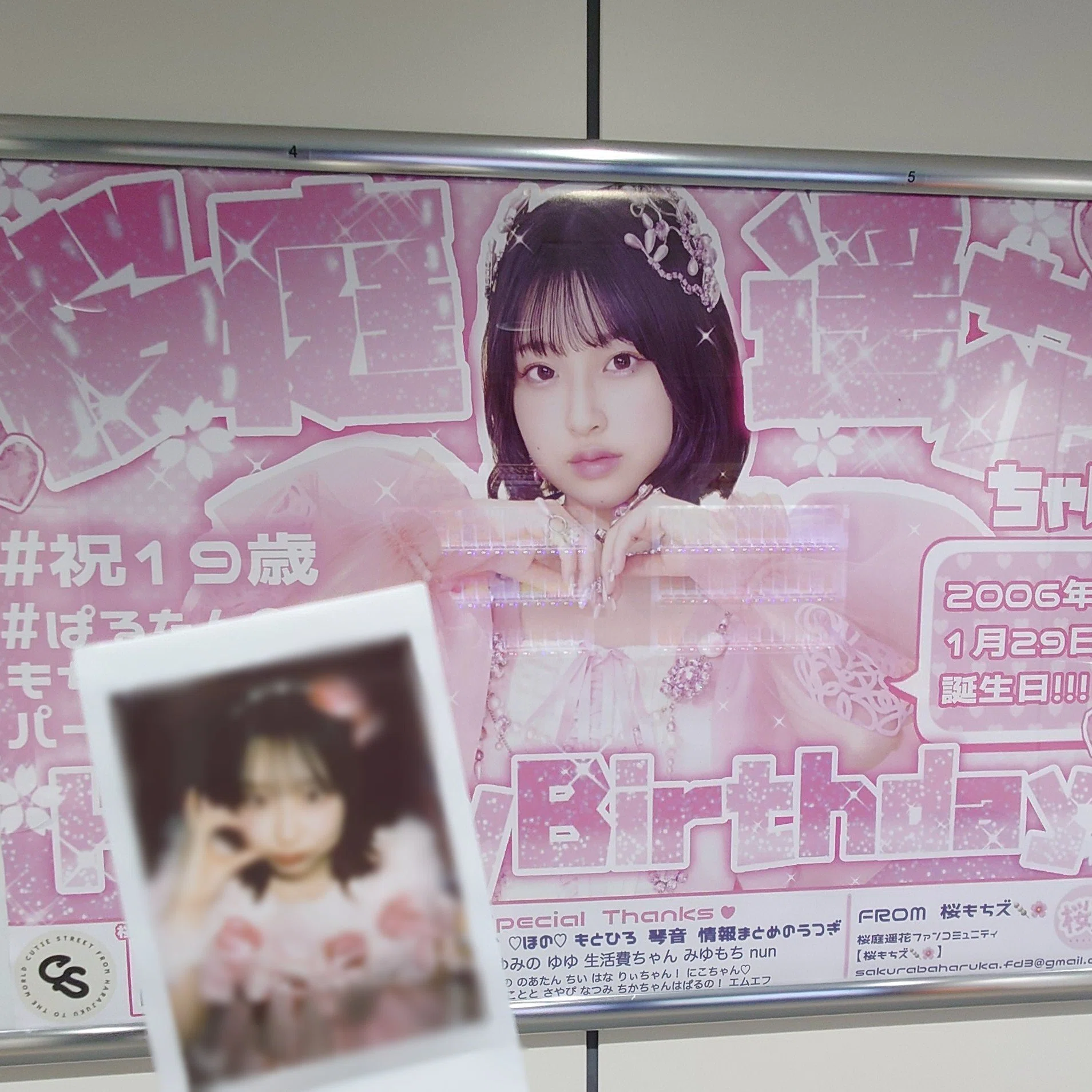 2025現場まとめ｜さいとう