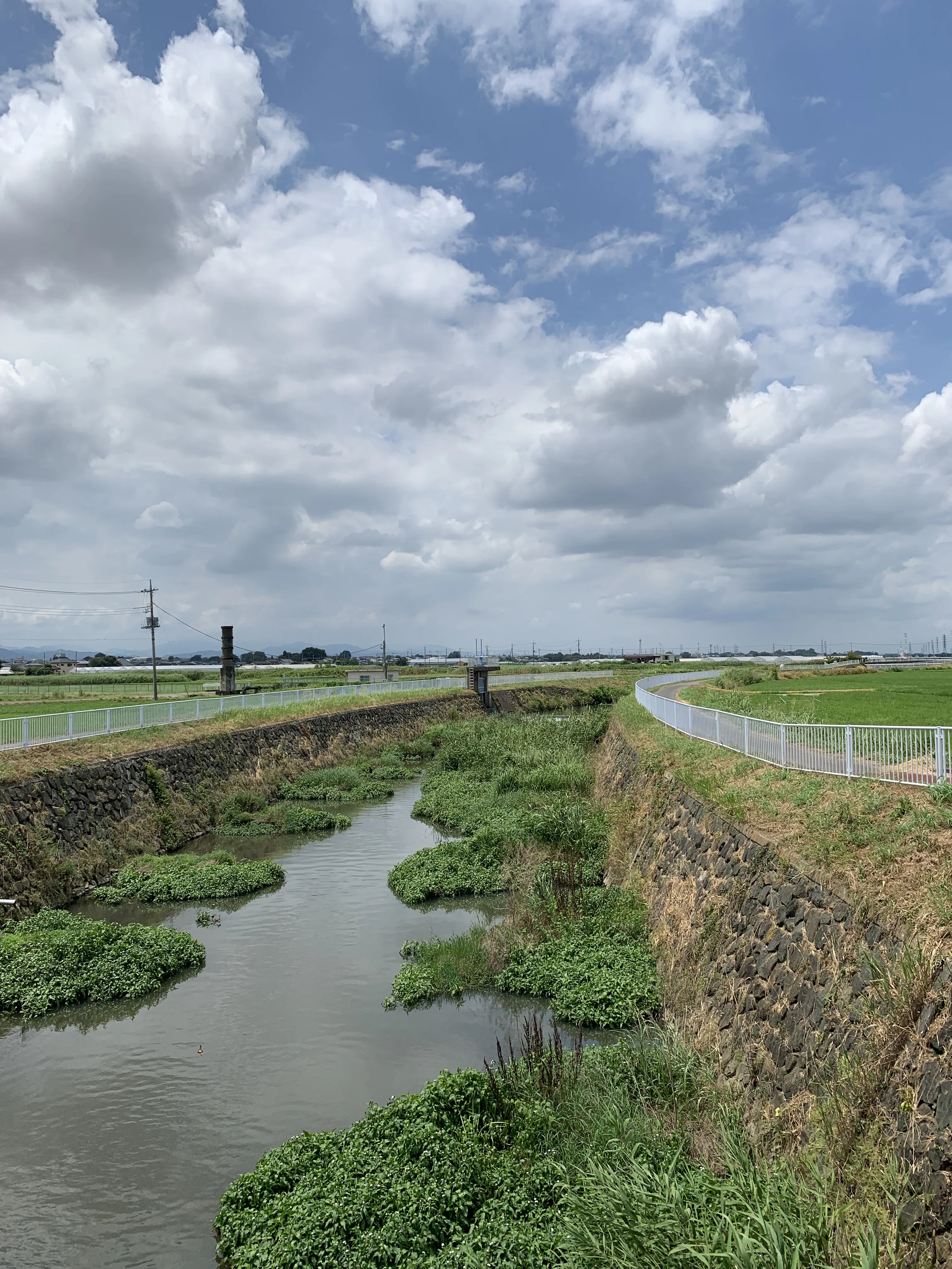 Punctuation】ASAKO：⻘写真を超えて、偶然と好奇⼼のあいだで⽣きる