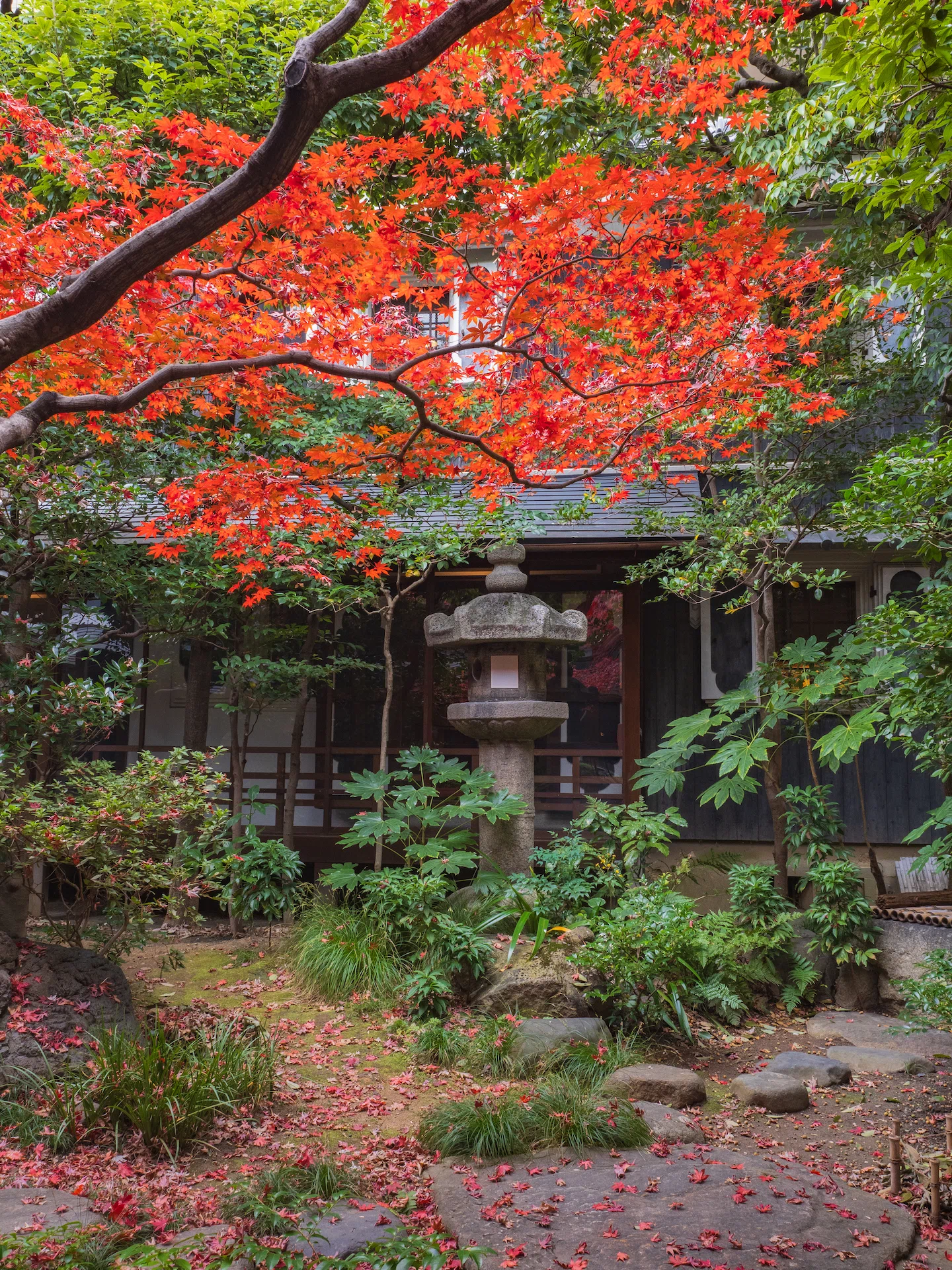 くろちく 八竹庵(旧川崎家住宅)|KATSUMI くろちく 八竹庵(旧川崎家住宅)|KATSUMI