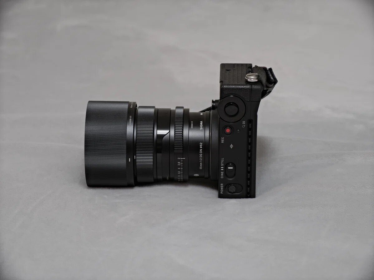 レンズ】2025年はSIGMA一色。買ったレンズ2本を振り返る｜プラナリア