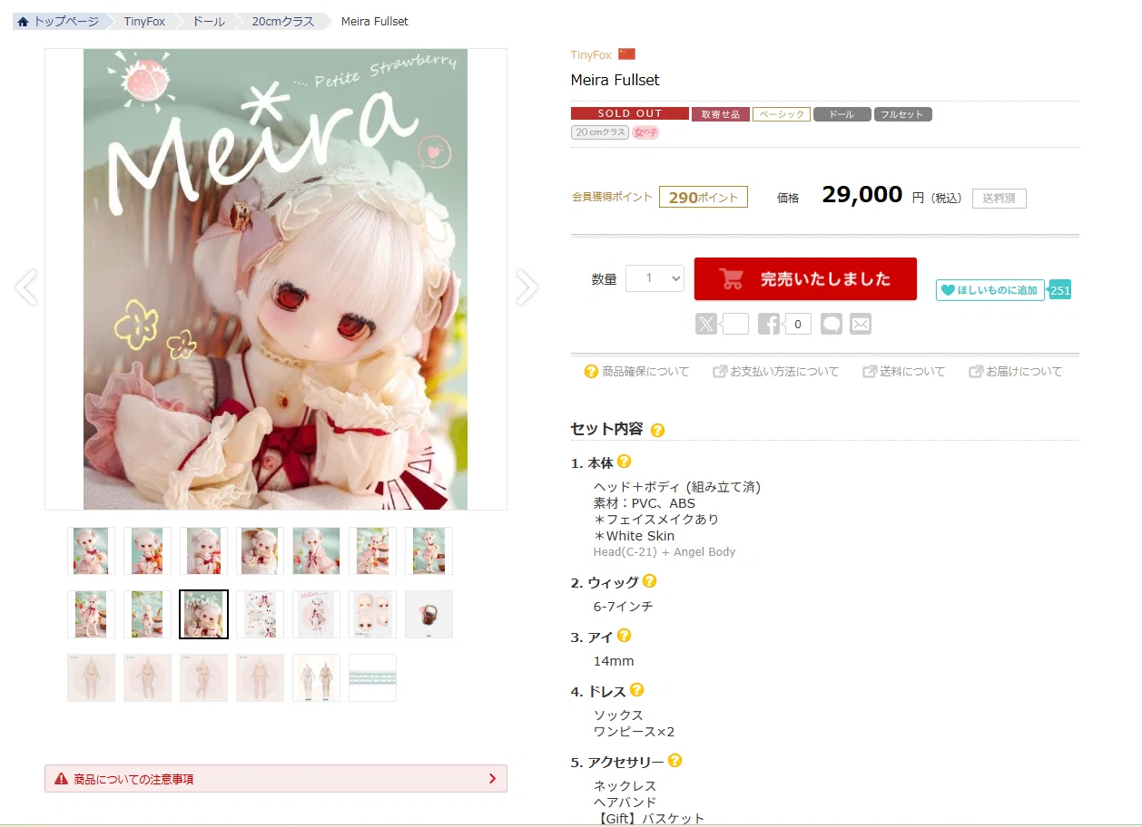 入門！ドール沼！初ドールお迎え｜水上ひろ