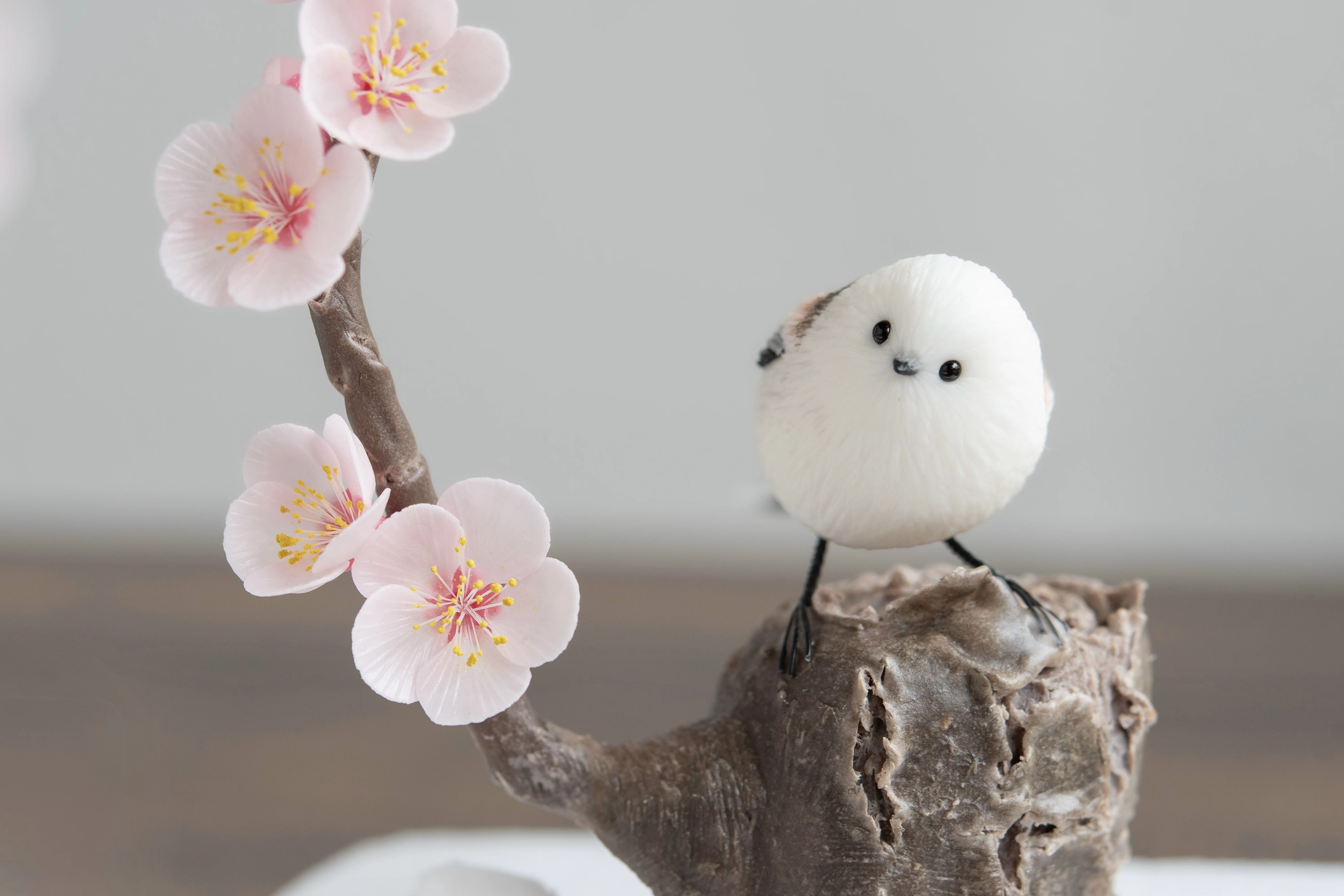 梅の花が咲いていたので｜orange.sky シマエナガとその仲間達