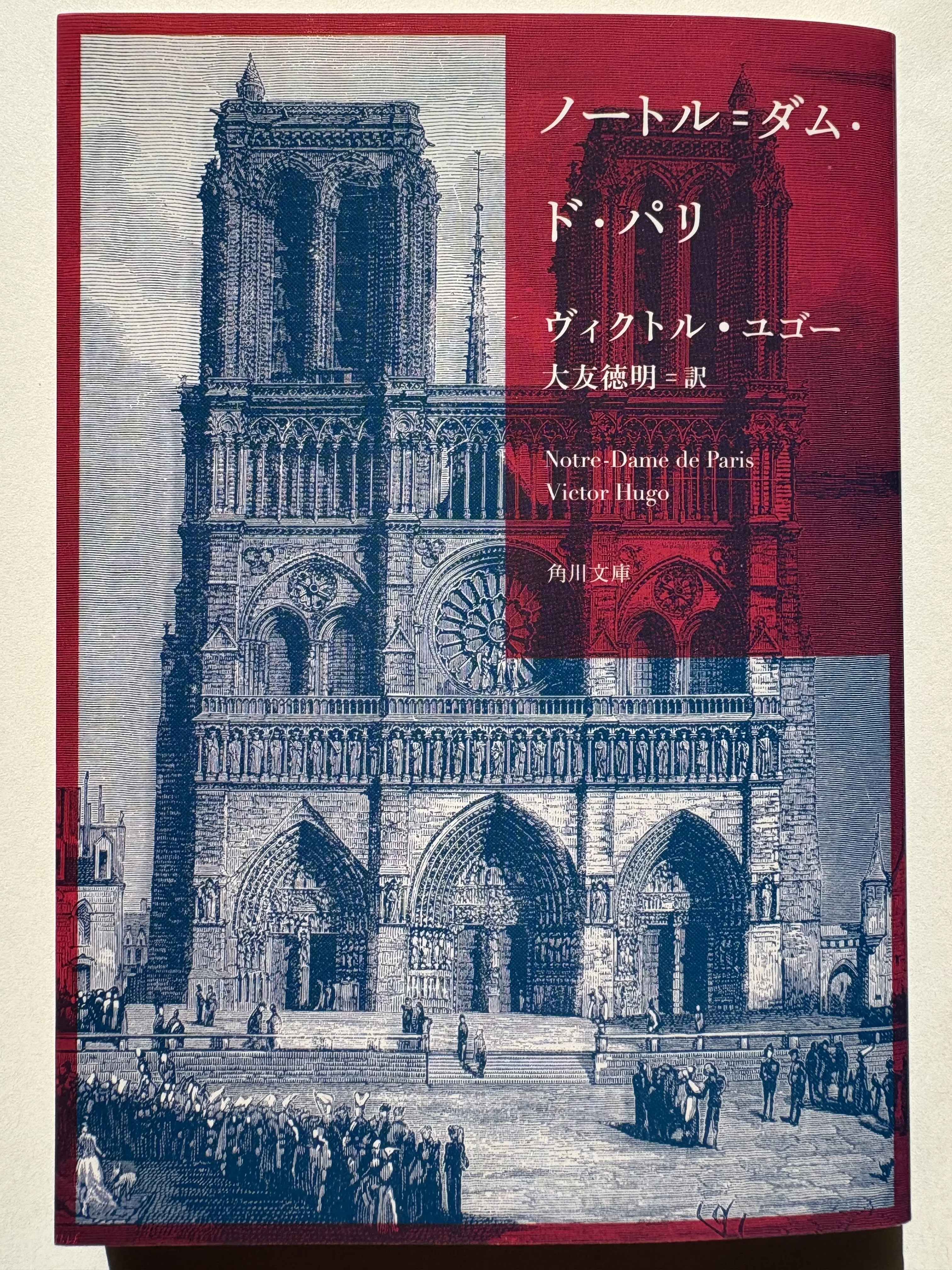 ノートルダム絵画、ノートルダムドパリ、ドーミェ、カルヴェ美術館、フランス ノートルダムの鐘を観て ノートルダム・ド・パリ抄訳を読んだ 【初読