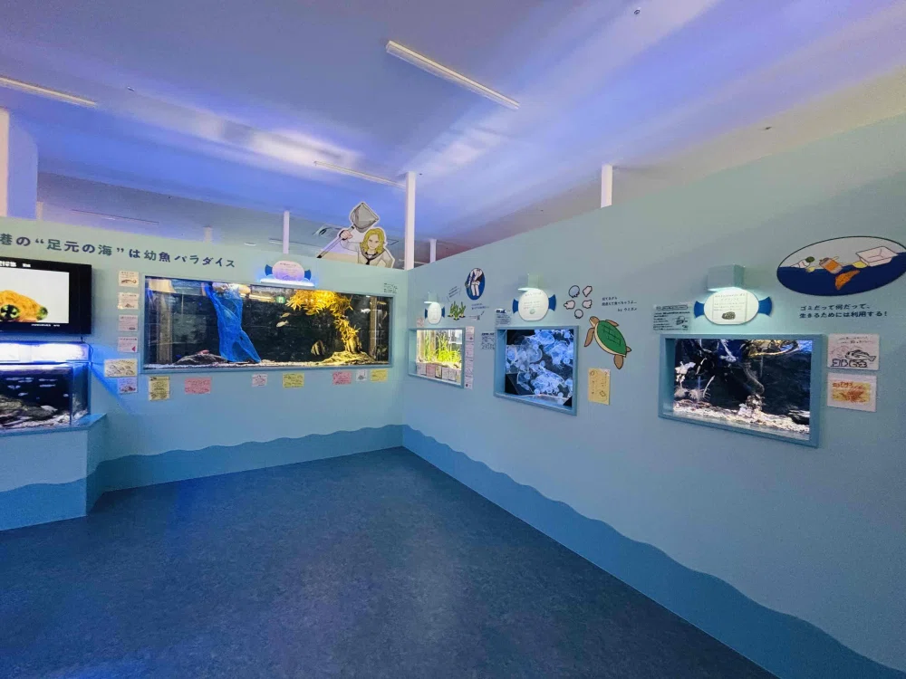 ぼっちたびろぐ in 幼魚水族館｜星空照美🌟🌠