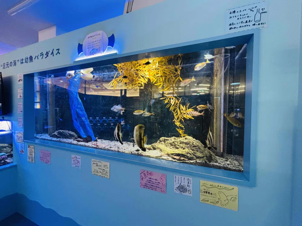ぼっちたびろぐ in 幼魚水族館｜星空照美🌟🌠