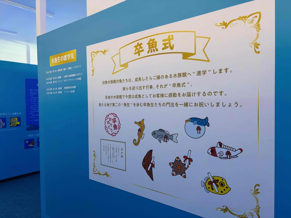 ぼっちたびろぐ in 幼魚水族館｜星空照美🌟🌠