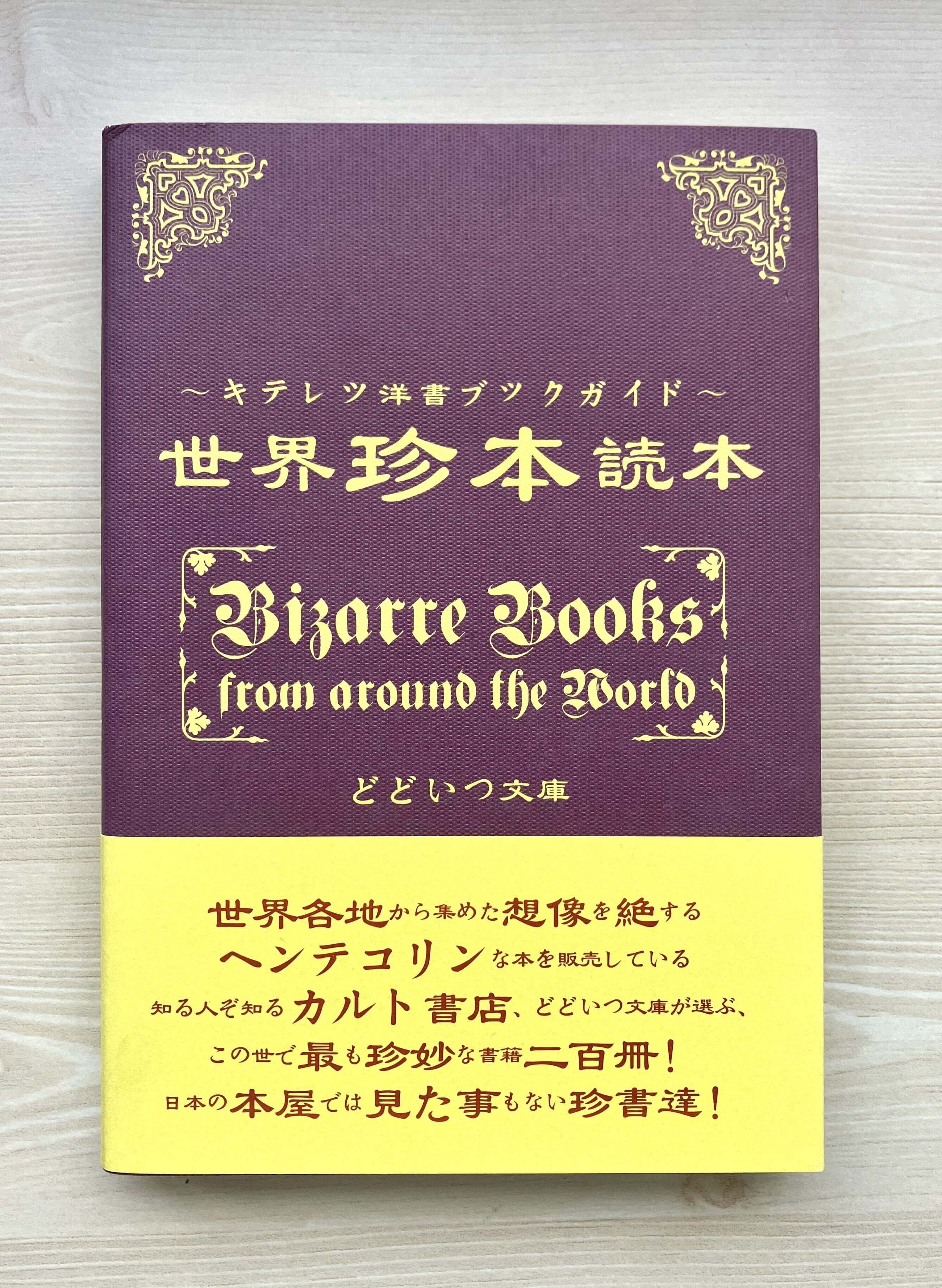 アート・ビジュアル系奇書ガイド｜久平