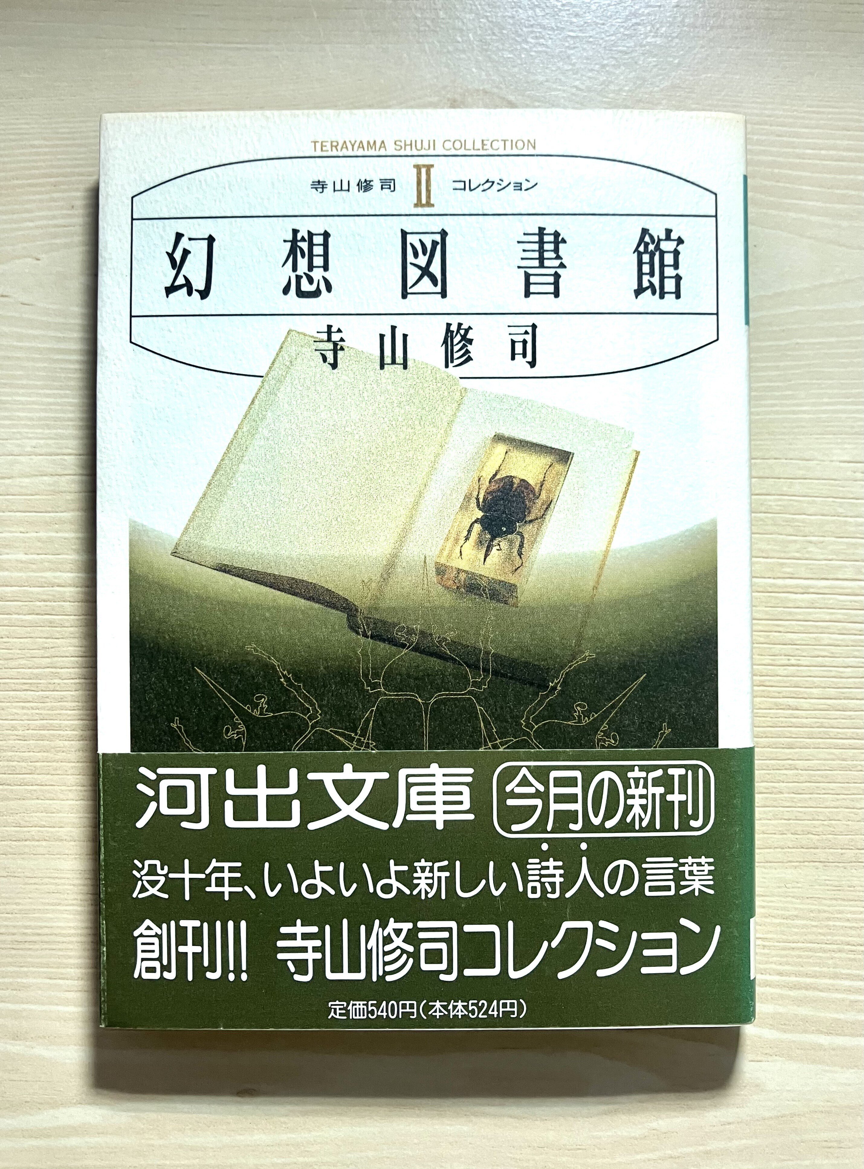 アート・ビジュアル系奇書ガイド｜久平