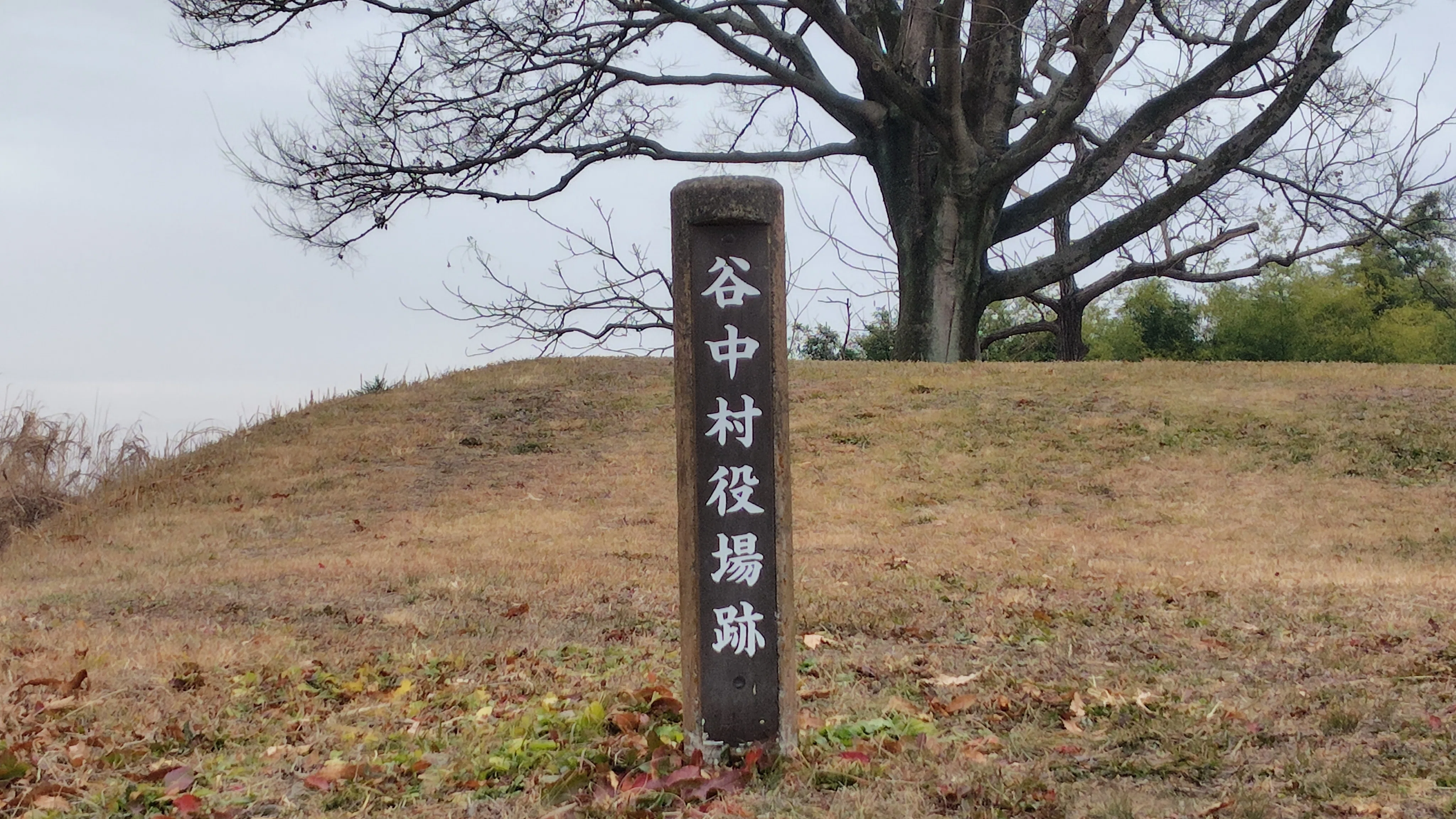 【中古】近世の村と地域情報 近世の村と地域情報 - 株式会社 吉川弘文館 歴史学を中心とする、人文