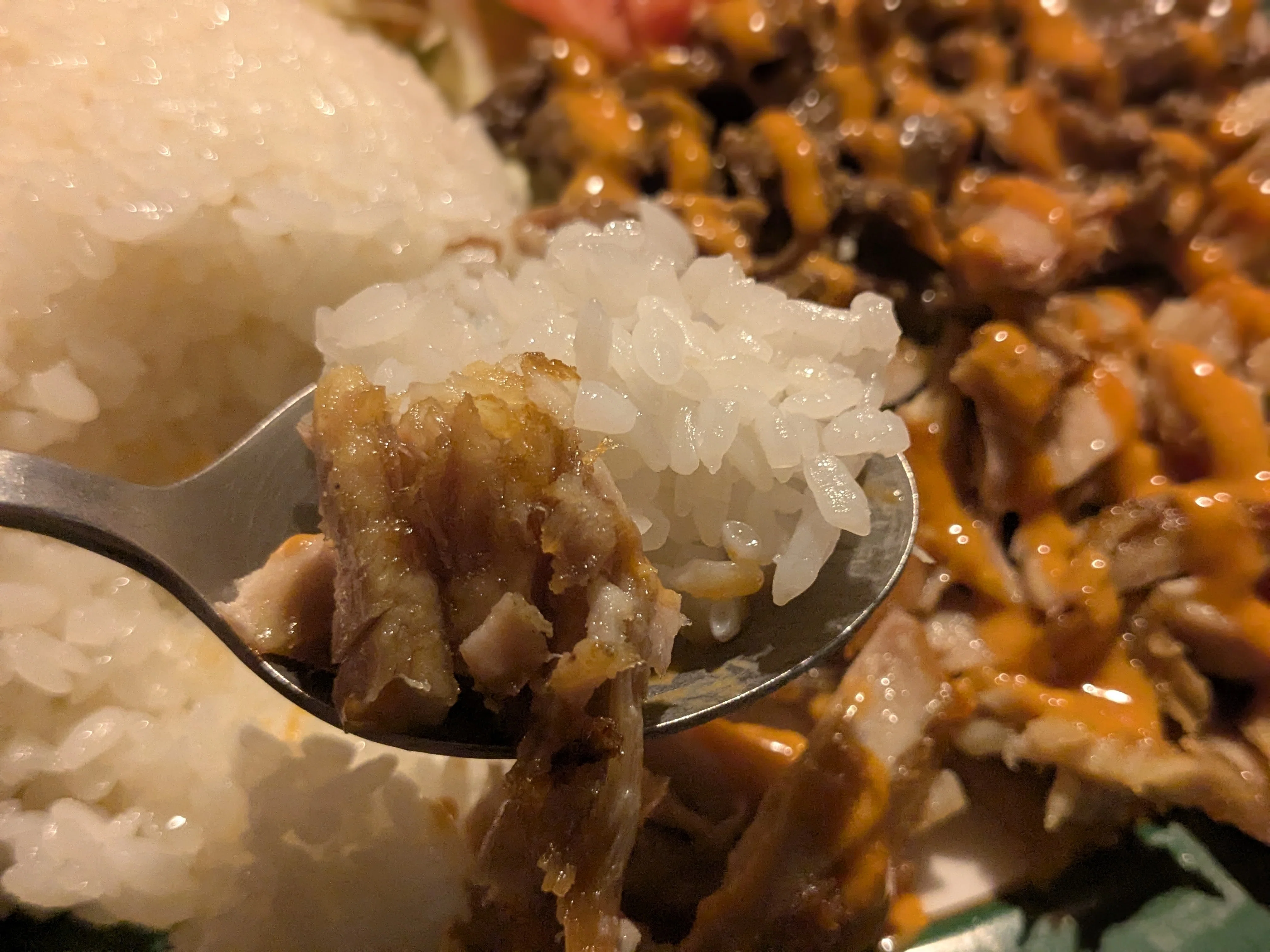 ミックスドネルケバブ＠Turkish Kebab(愛知県あま市)｜バババイン