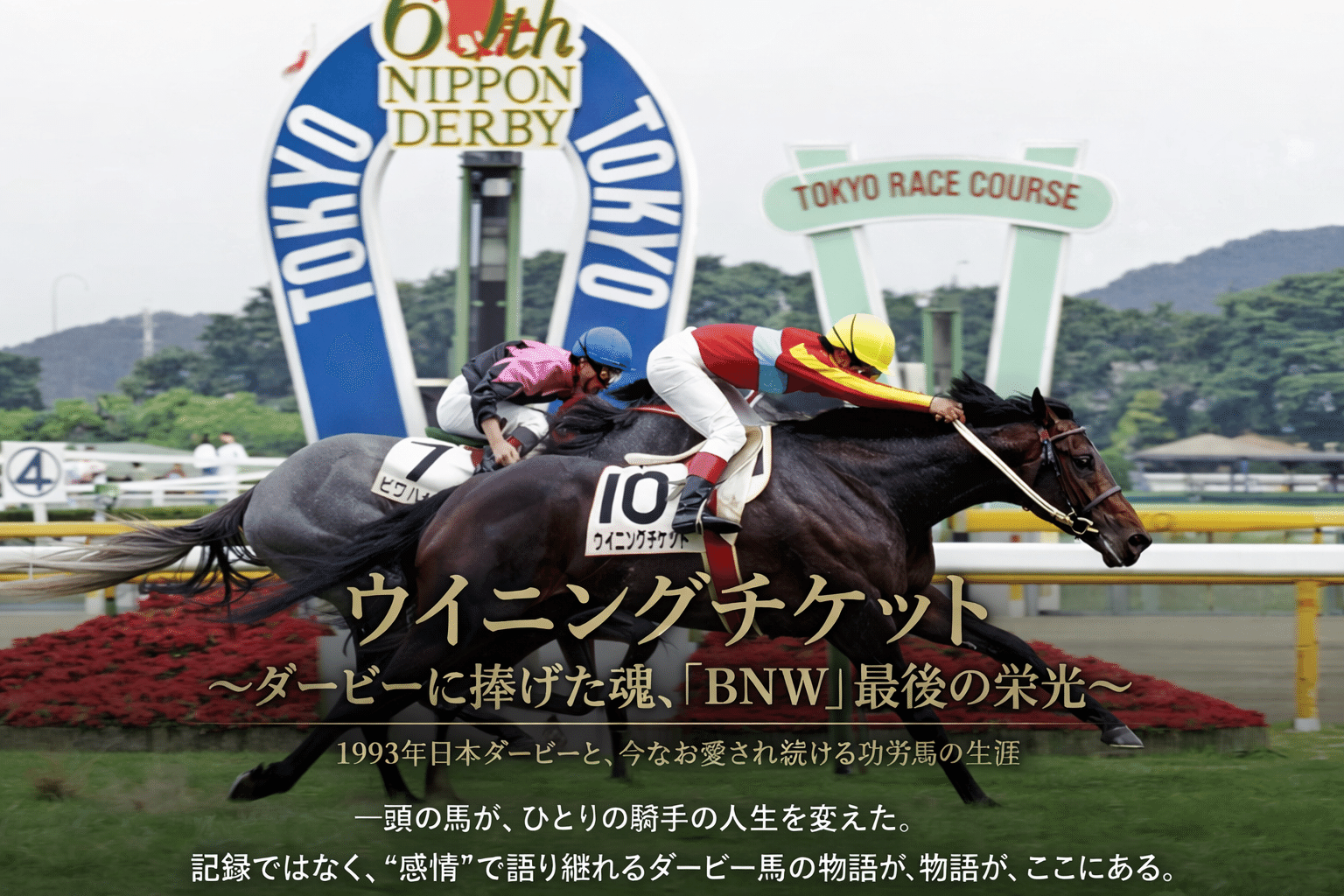 ウイニングチケットという名の奇跡 ― ダービーにすべてを捧げた馬