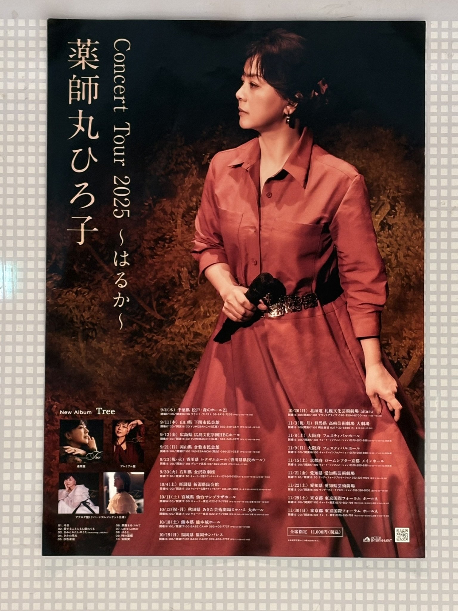 ライヴ 感想】薬師丸ひろ子 Concert Tour 2025 ～はるか～ 東京公演