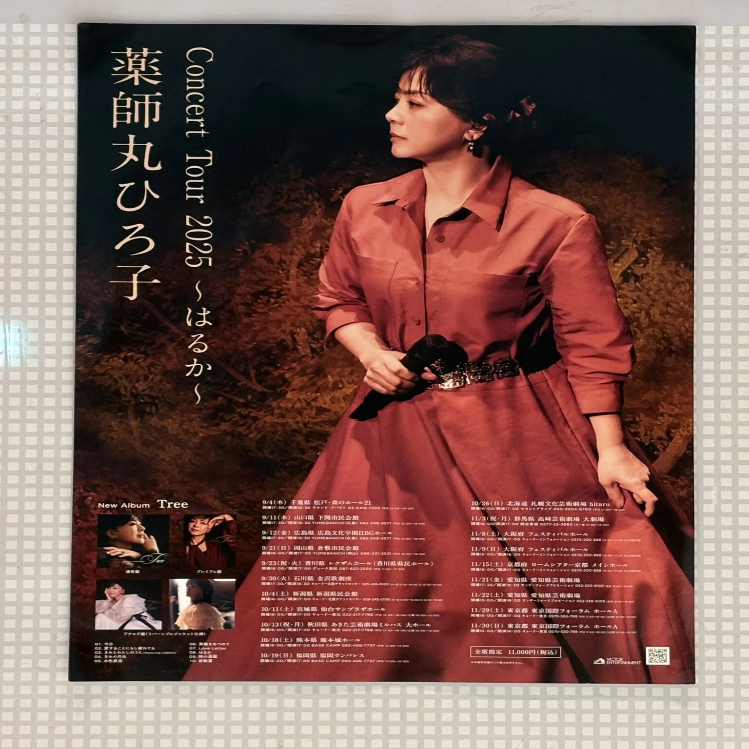 ライヴ 感想】薬師丸ひろ子 Concert Tour 2025 ～はるか～ 東京公演 