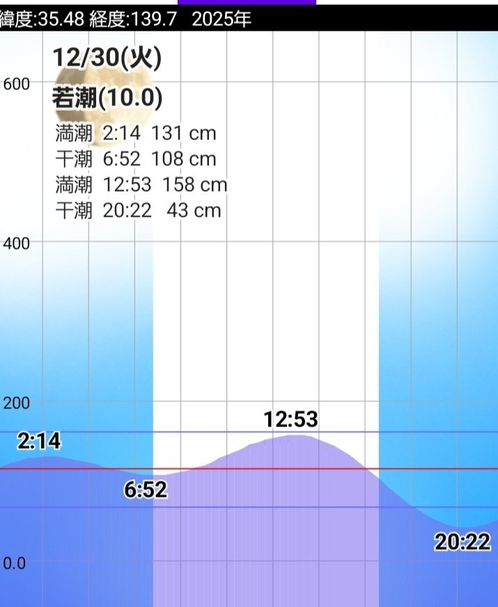 251230東京湾バチコン渡辺釣船｜HILLA-HILLA-JIGLLA