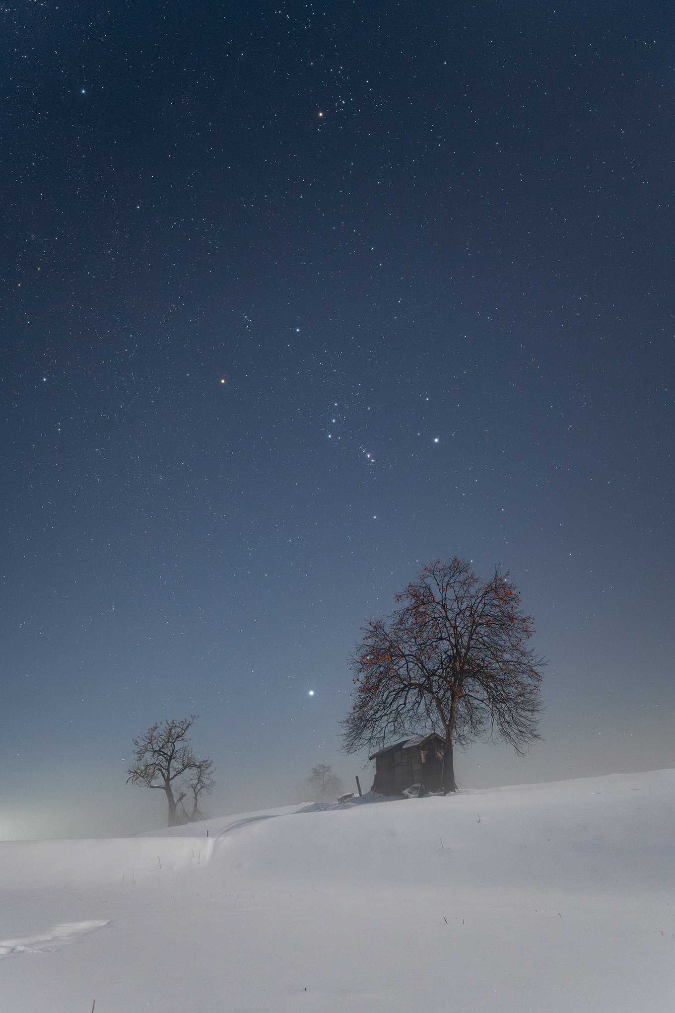月明りの雪景色と冬の星座｜星空写真家・「好き」を「得意」に変える