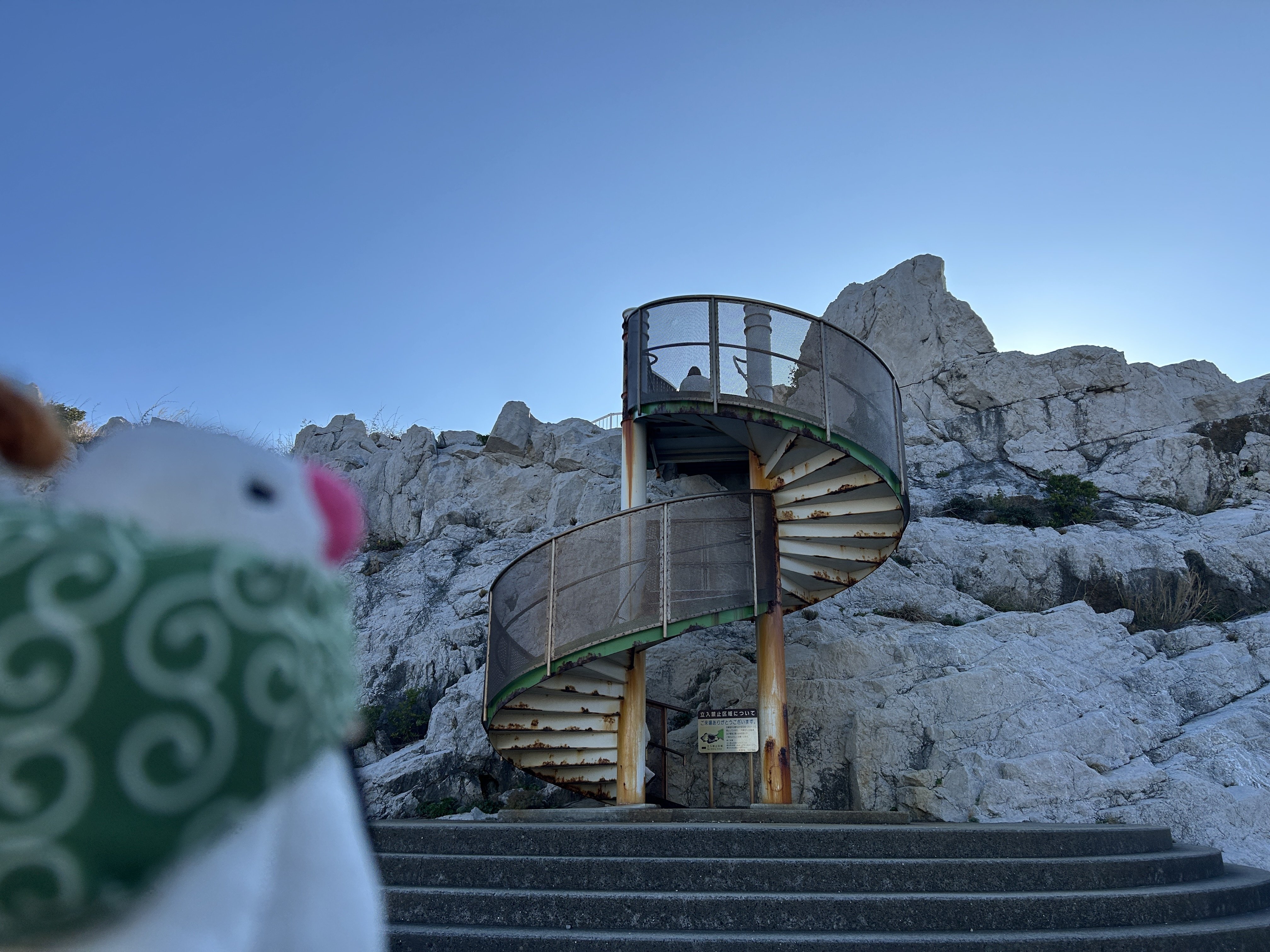 文鳥隊長と行く！和歌山の歴史と自然を巡る旅 エピソード③ 日本の