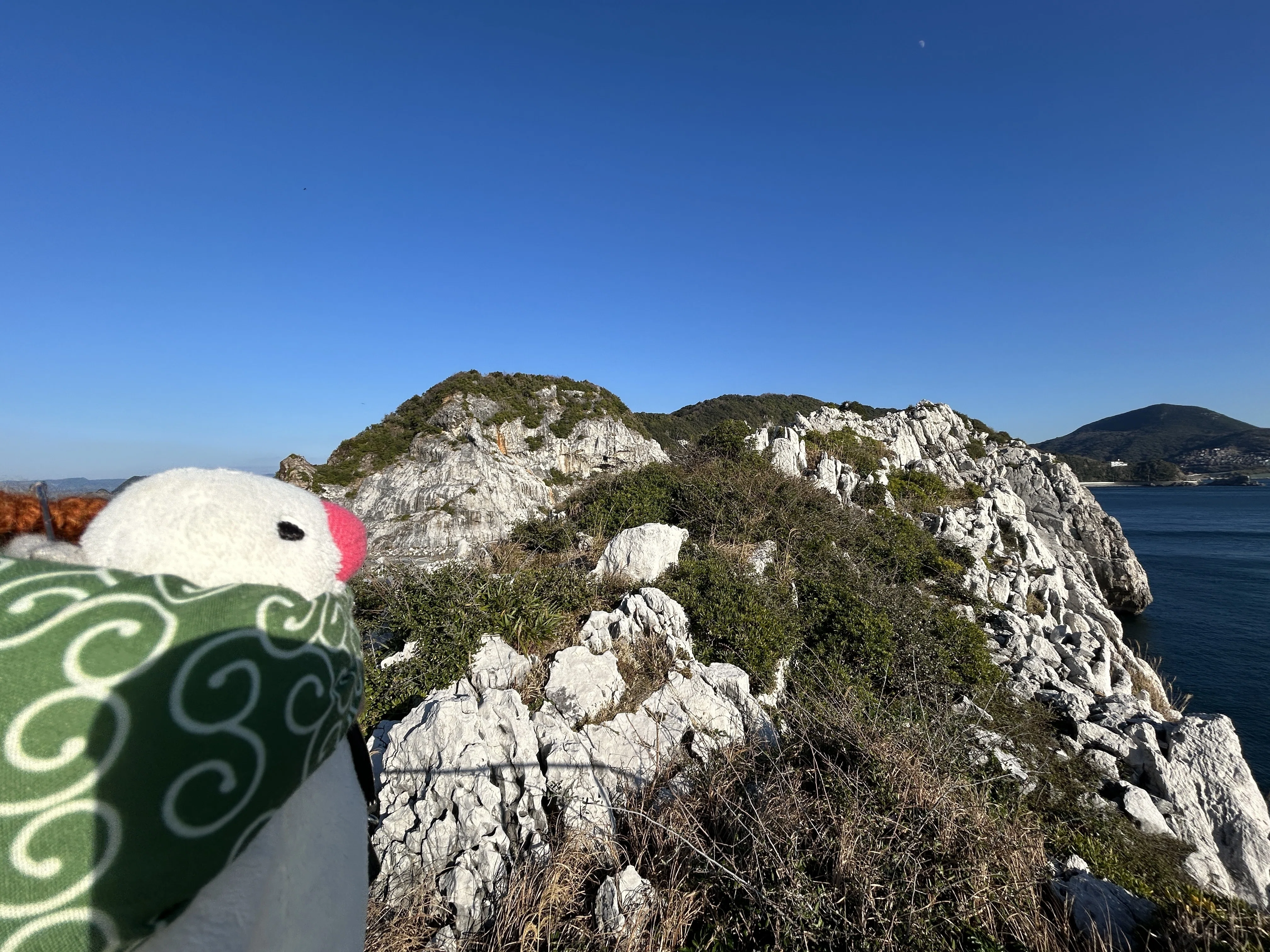 文鳥隊長と行く！和歌山の歴史と自然を巡る旅 エピソード③ 日本の