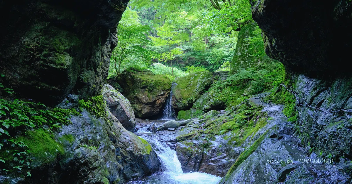 緑の木々の中の小さな滝