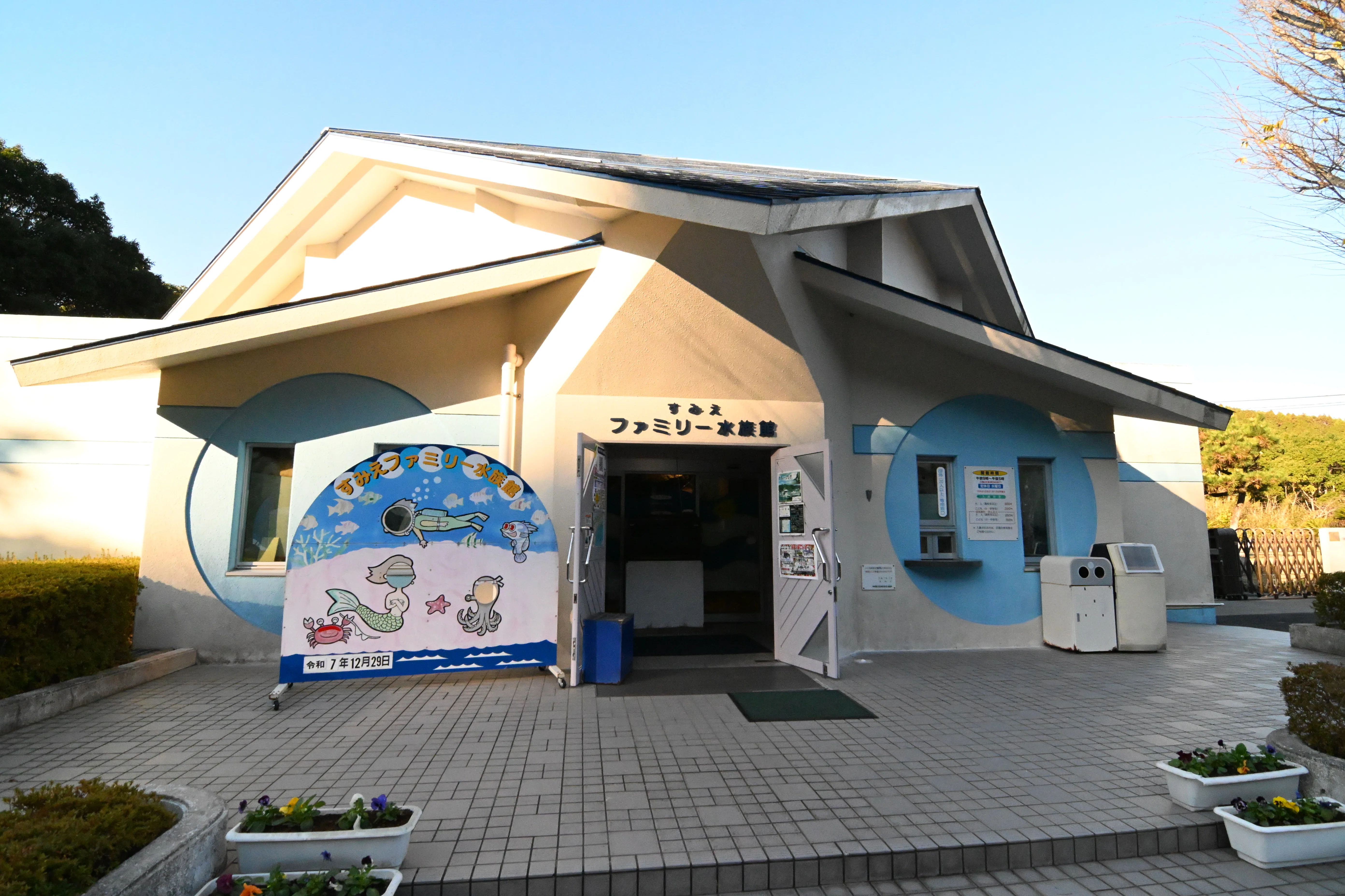 20251229_すみえファミリー水族館【Nikon Z50IIと水族館】｜山ネズミ