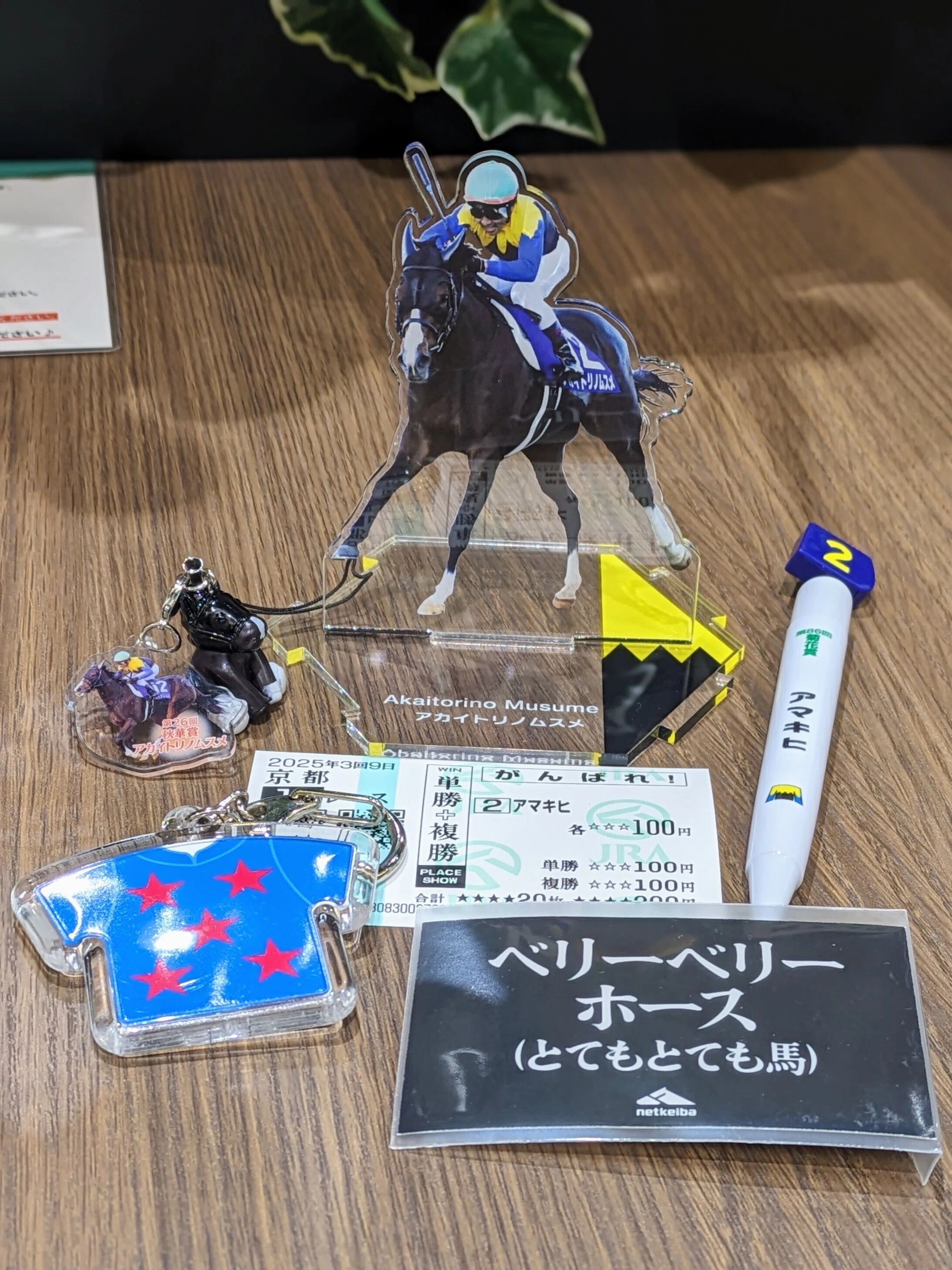 JRA　戸崎圭太　競馬グッズ 2025年ベストバイ〜戸崎圭太騎手へ愛を込めて〜｜ɴɪᴋᴏɢᴏʀɪ