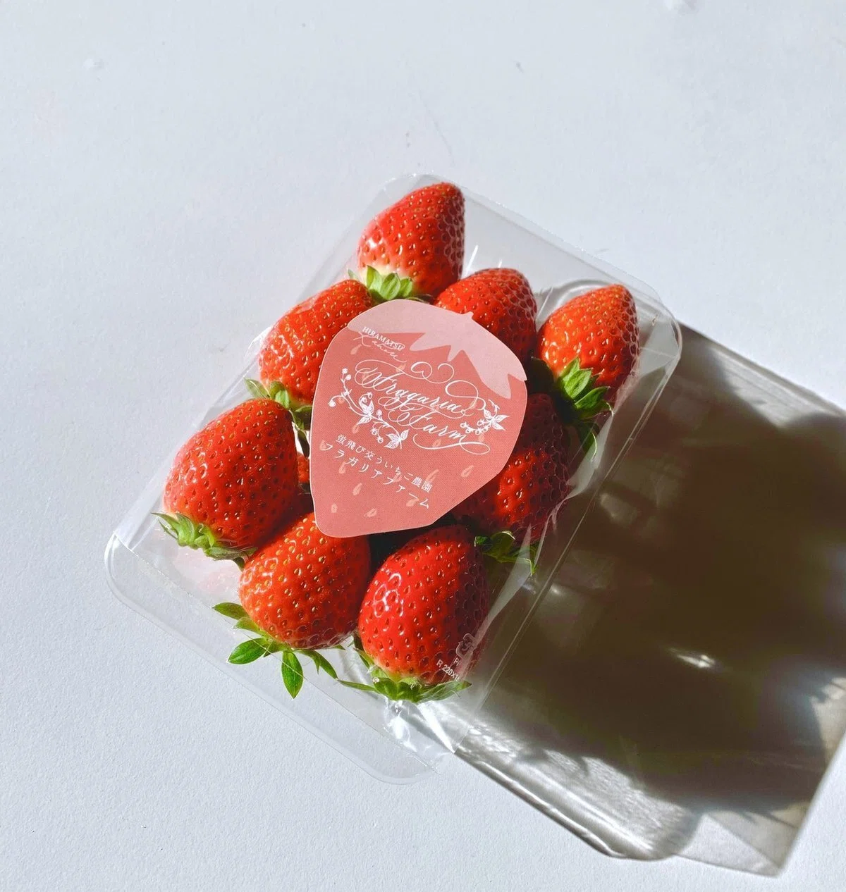 三重県津市の可愛くて美味しい苺農家 〜Fragaria farm〜｜松本聖子