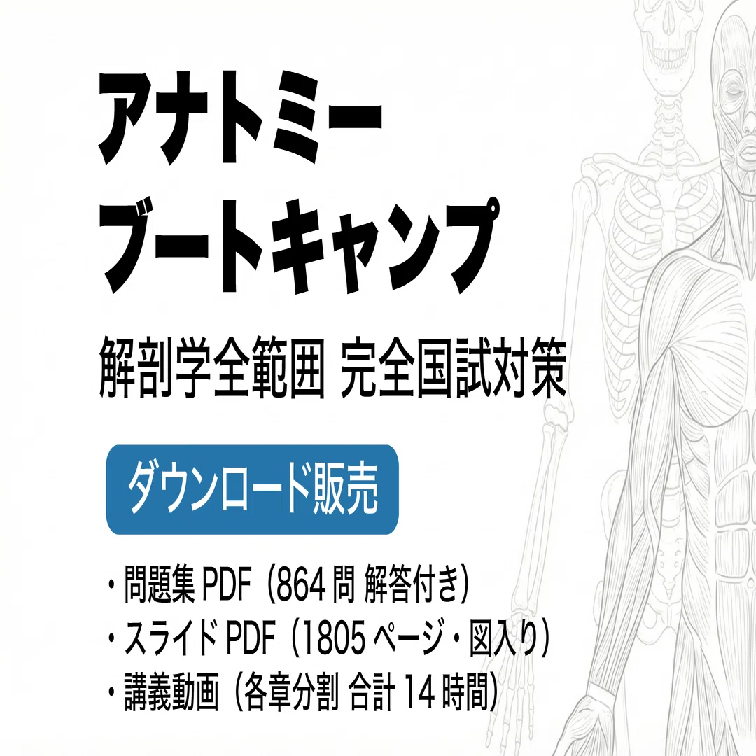 かずひろ解剖eラーニング価格改定・アナトミーブートキャンプ・経穴