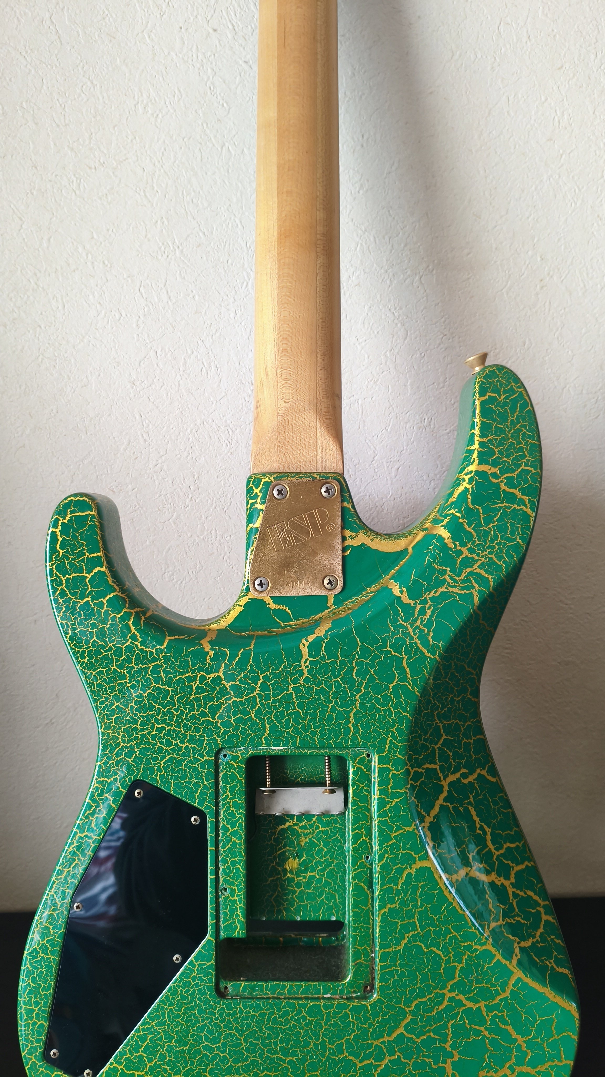 楽器紹介 第6弾 ESP オーダーメイド ストラトタイプ｜おつまみ ギター