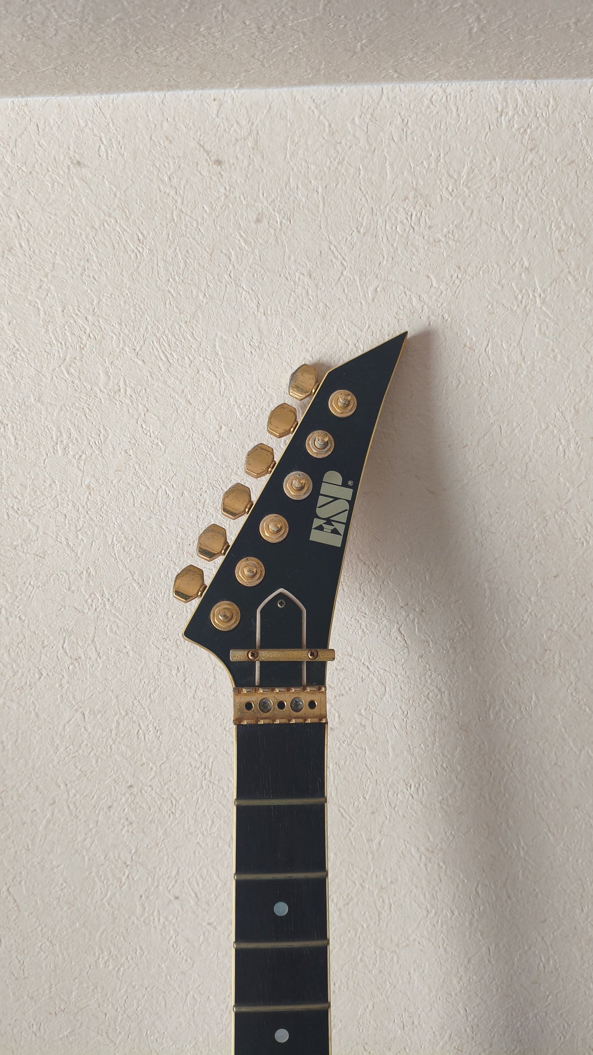 楽器紹介 第6弾 ESP オーダーメイド ストラトタイプ｜おつまみ ギター