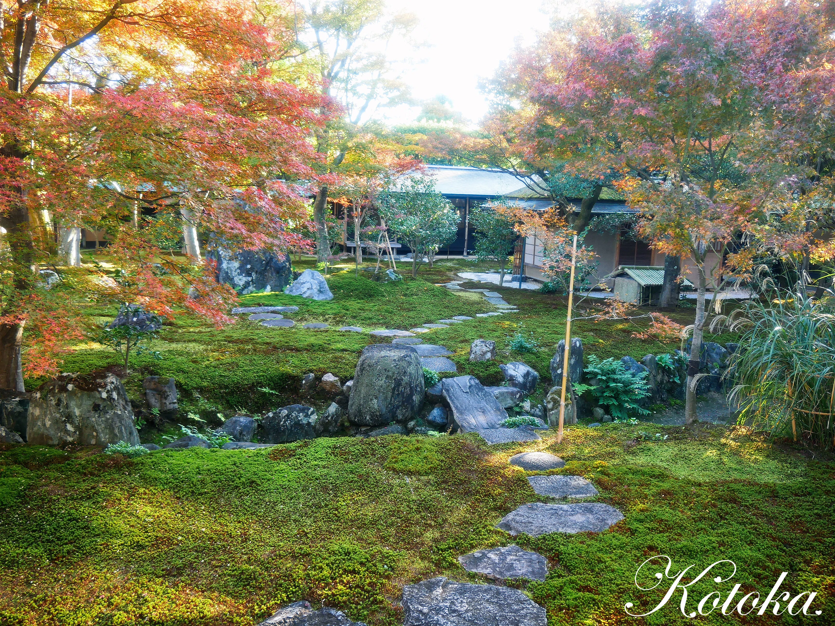 2025年京都紅葉めぐり③｜大徳寺塔頭 黄梅院｜古都香／Kyoto