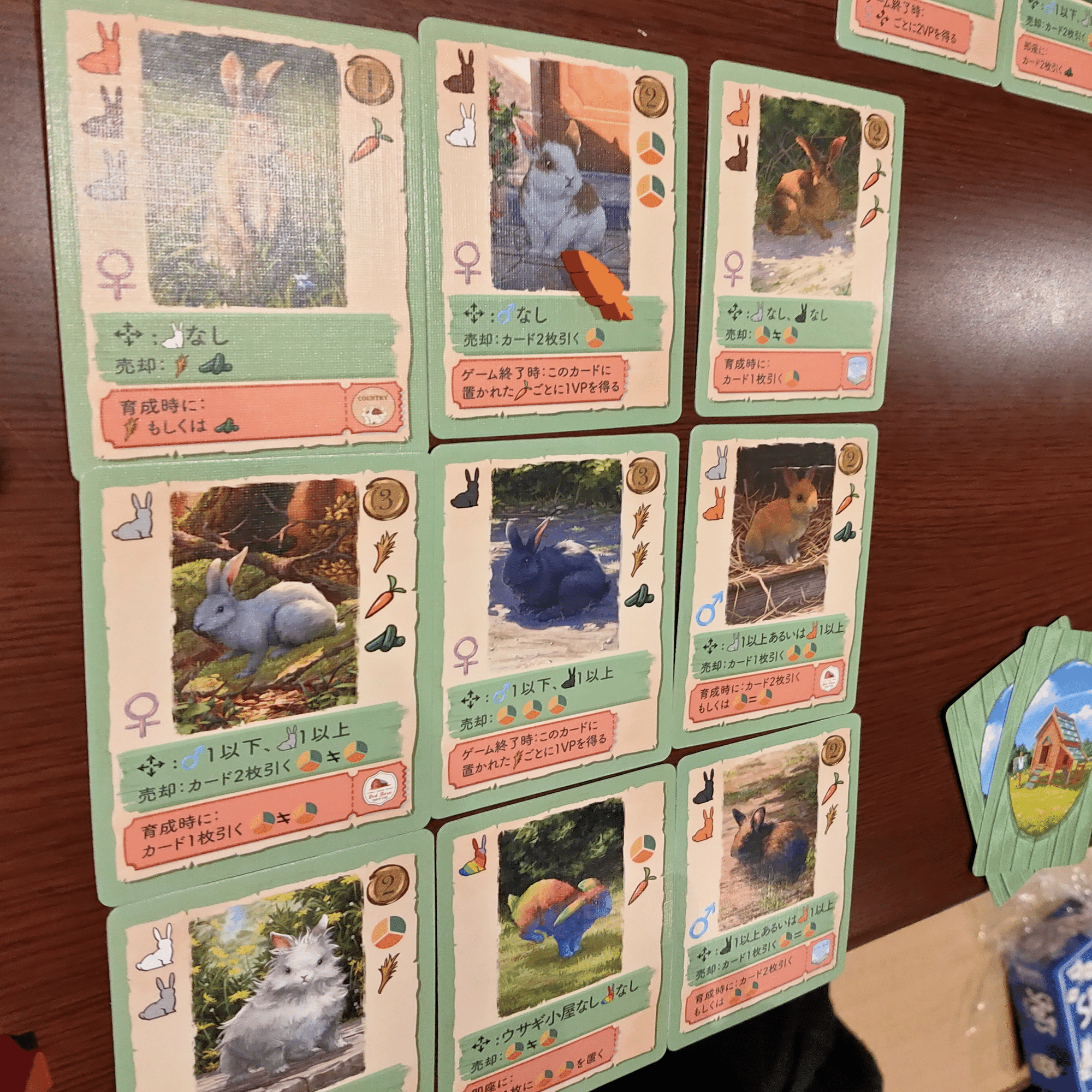 卯年じゃなくても愛でたい！ウサギまみれのボードゲームはコニー｜hubgry