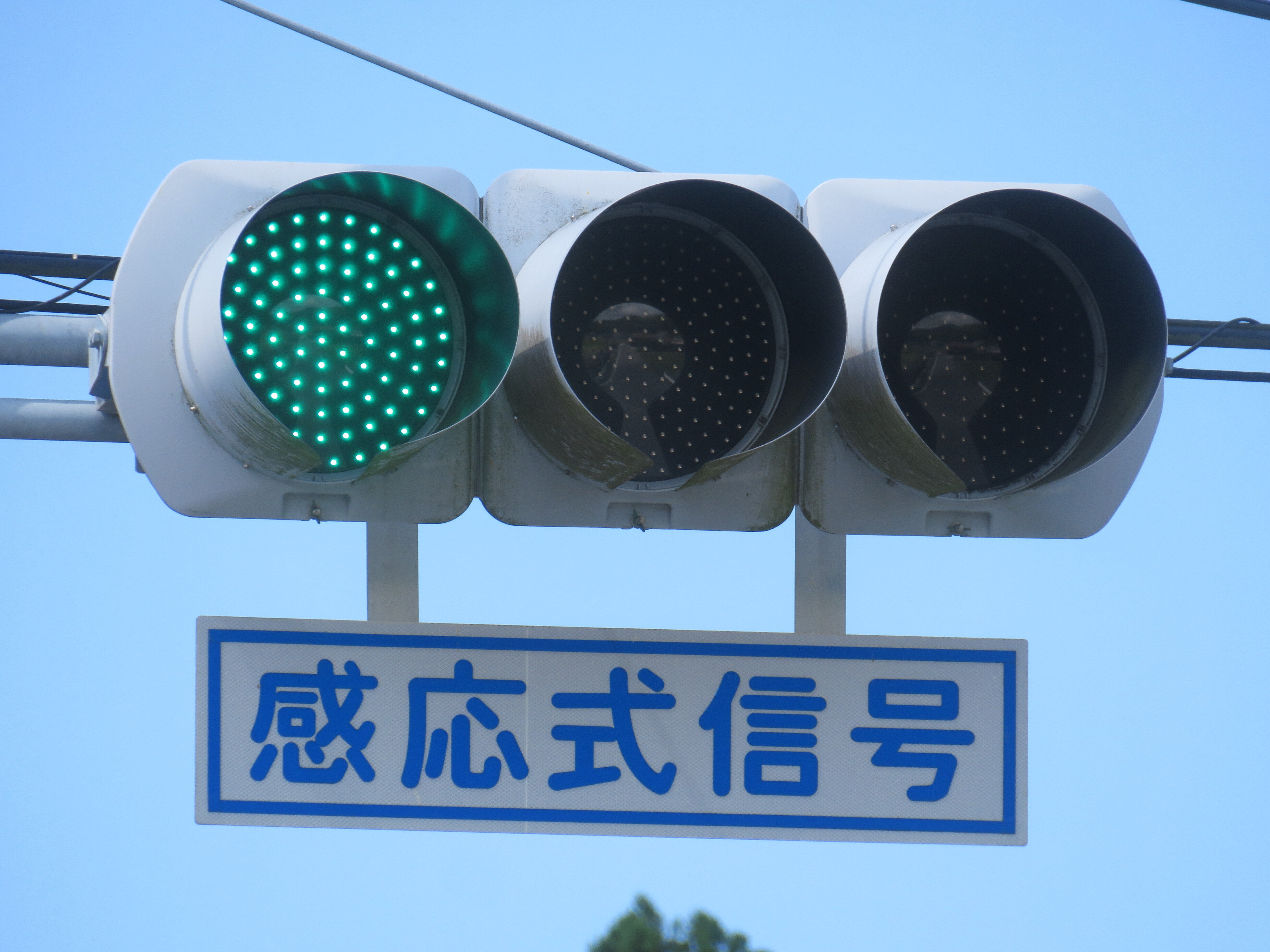 25095】新生保育園前【山口県の信号機】｜るーと