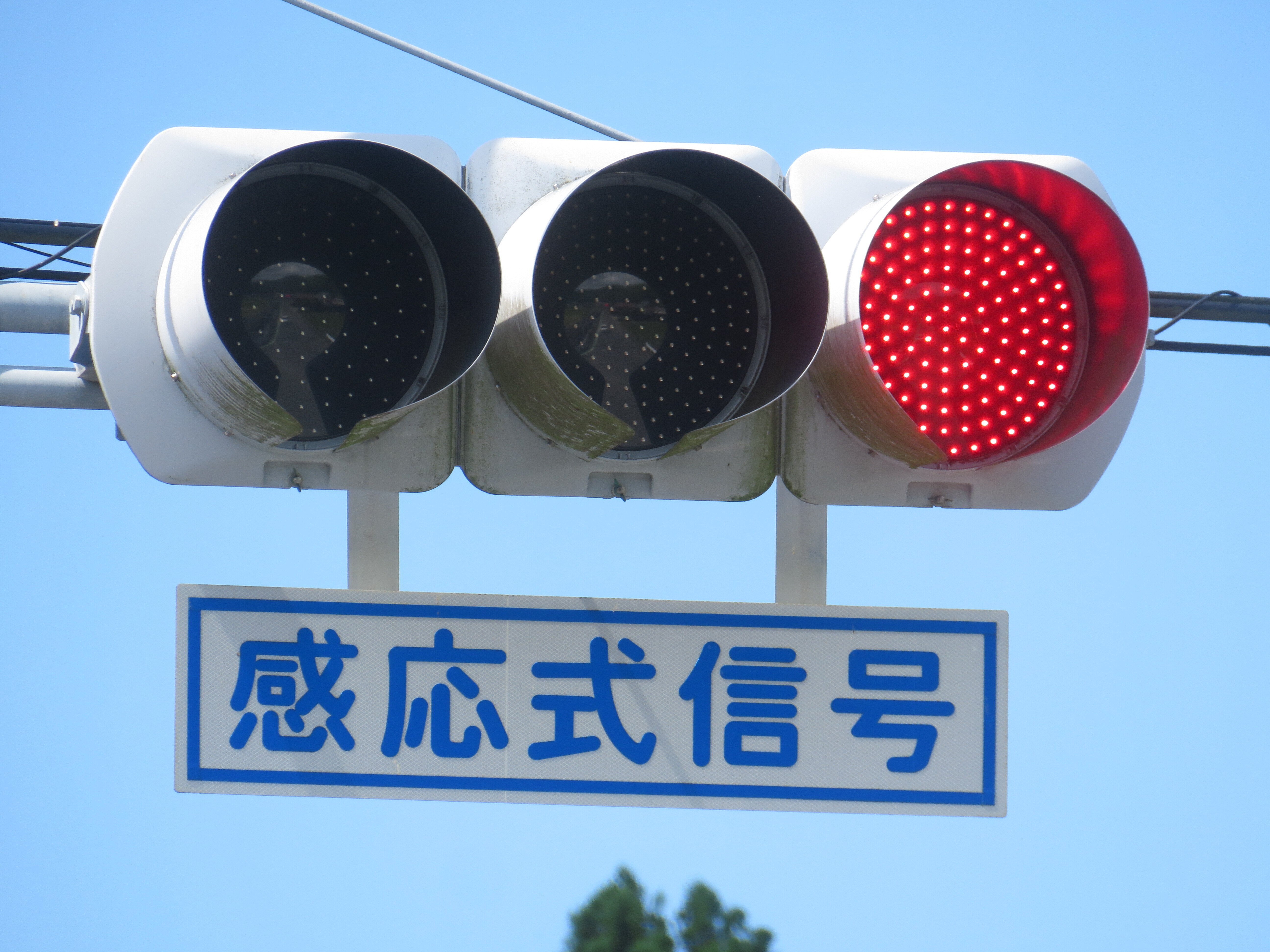 25095】新生保育園前【山口県の信号機】｜るーと